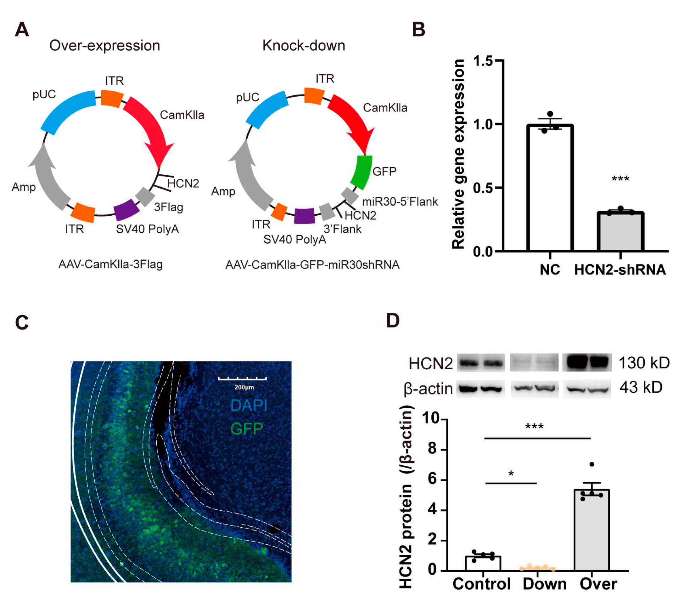 Preprints 79440 g003