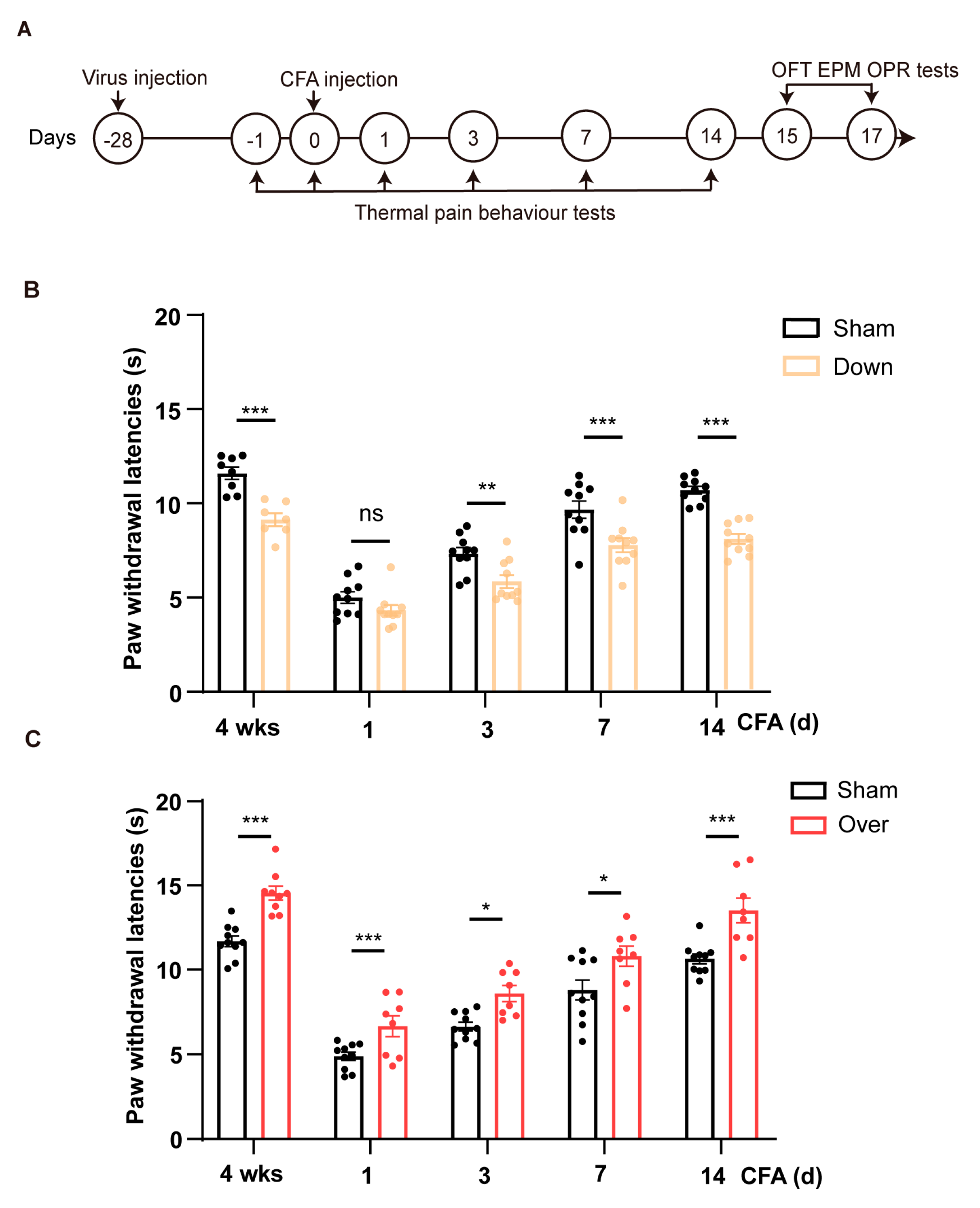 Preprints 79440 g004