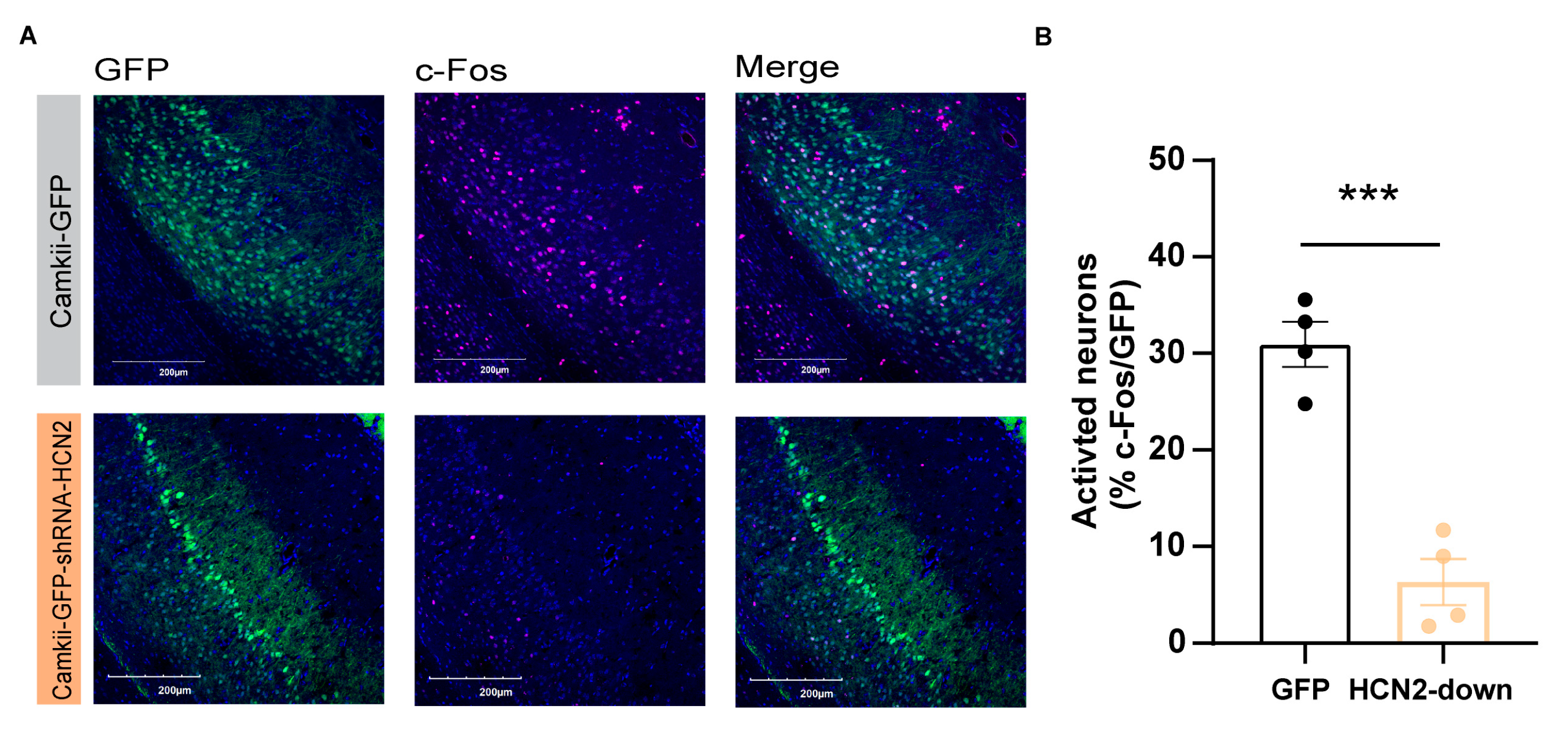 Preprints 79440 g005