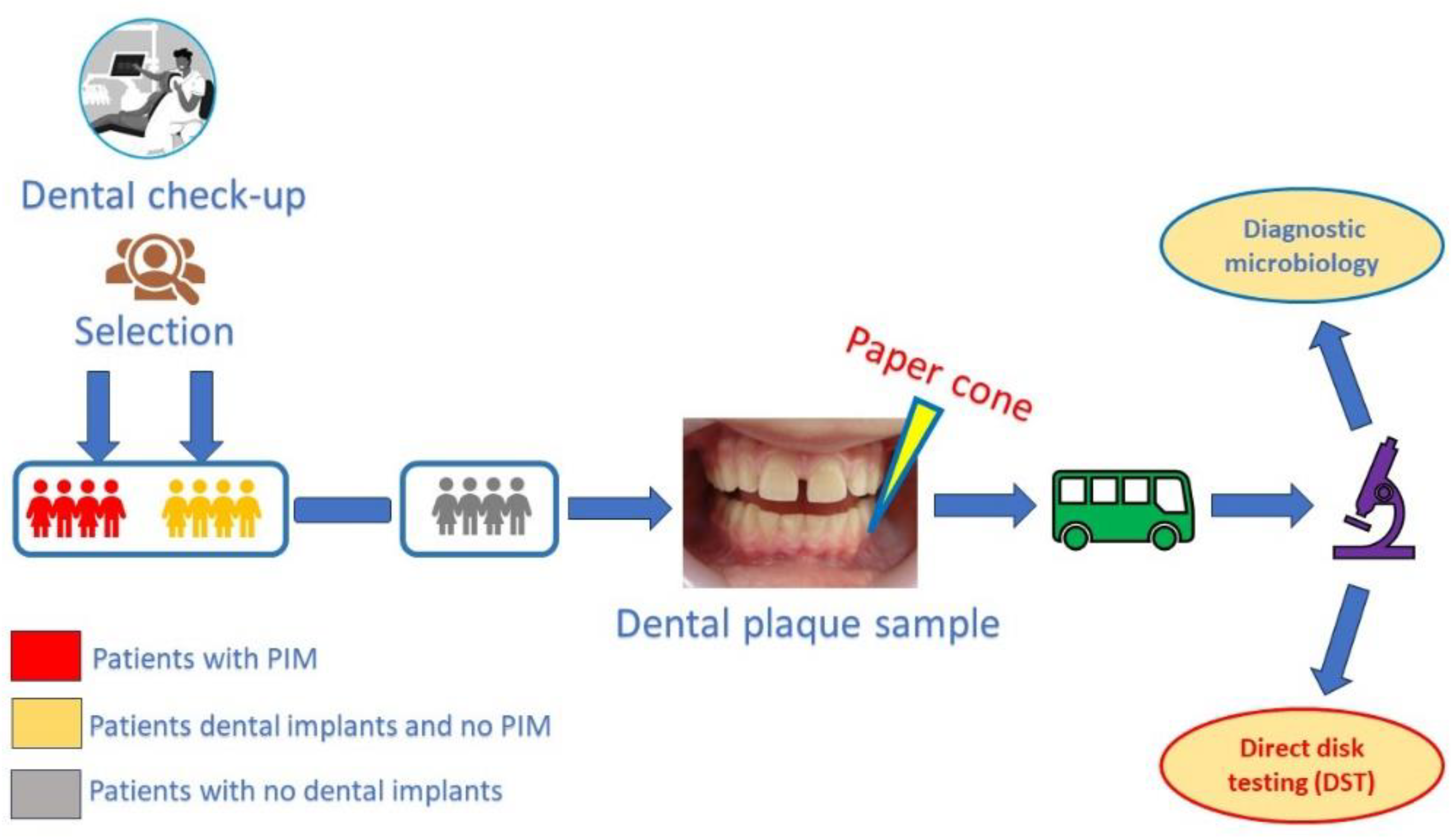 Preprints 118391 g004