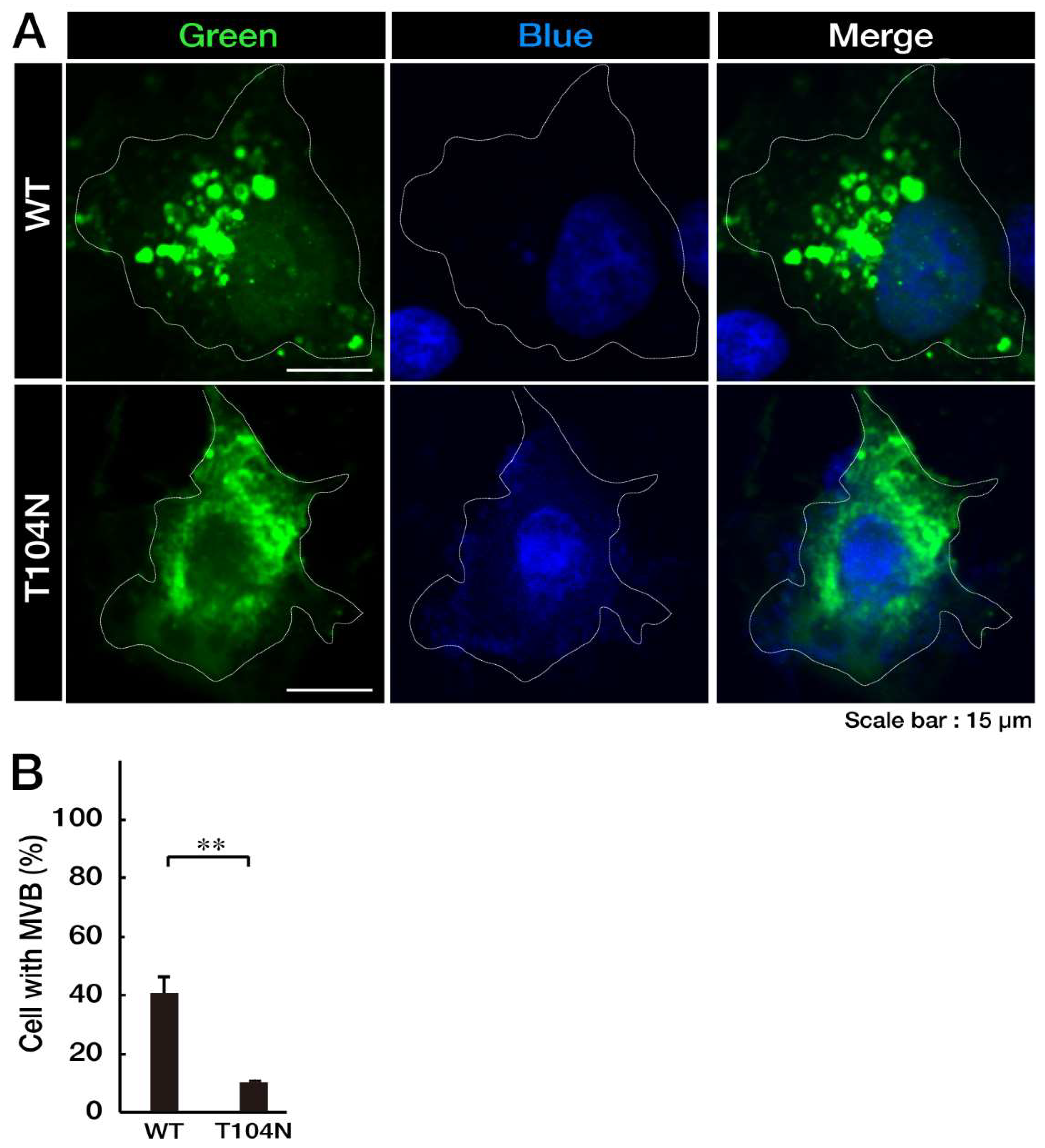 Preprints 76921 g001