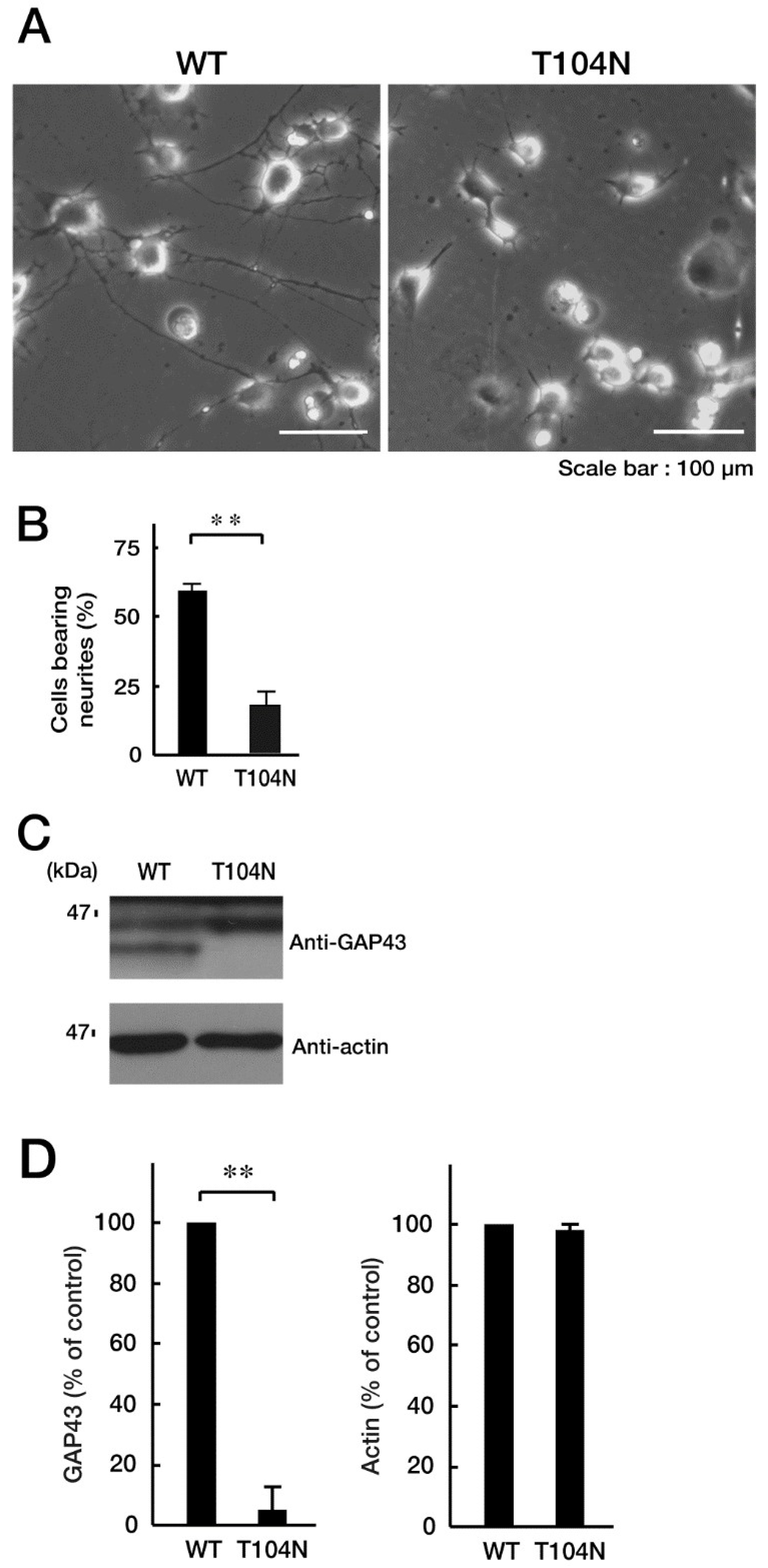 Preprints 76921 g003