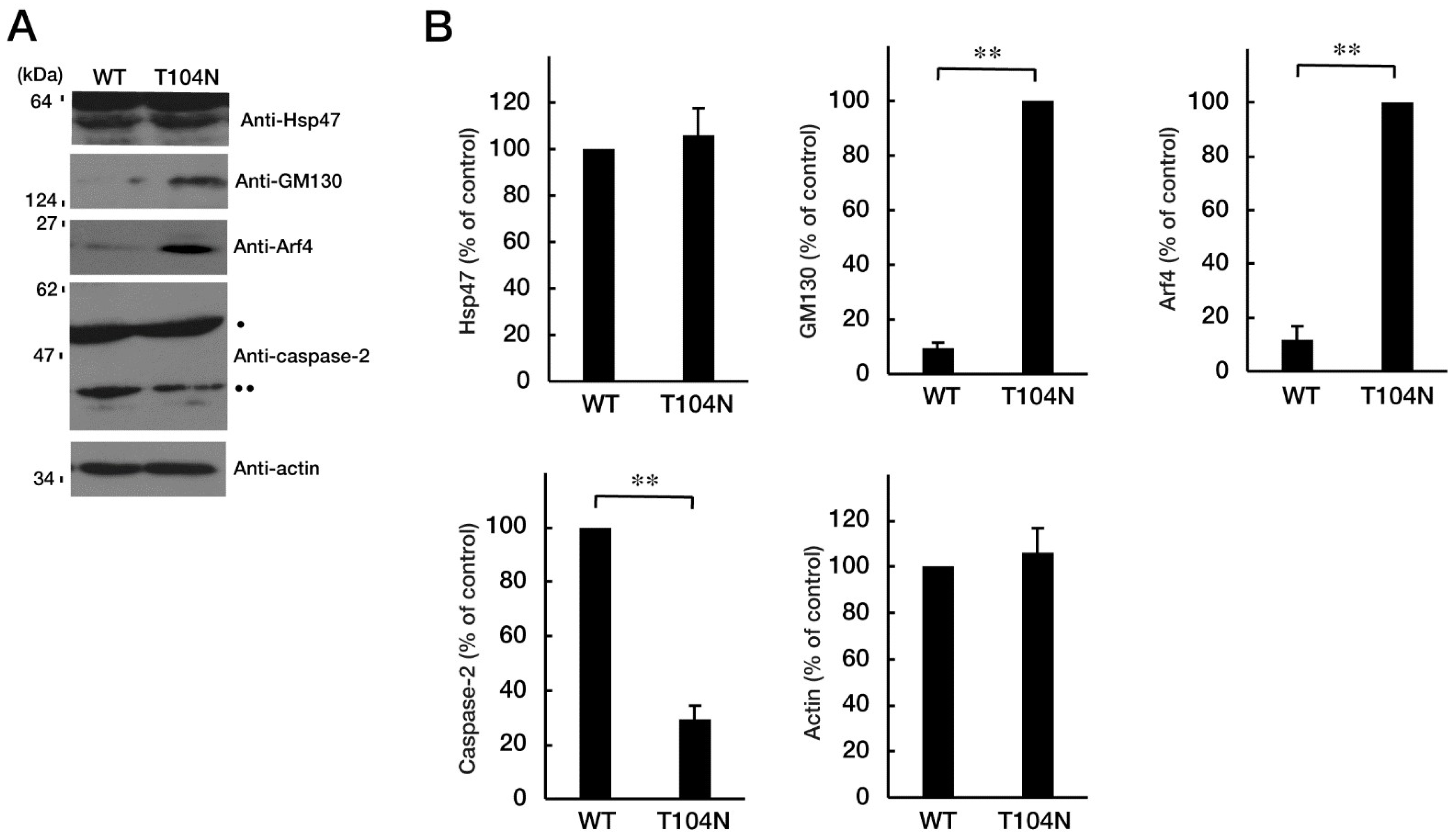 Preprints 76921 g004