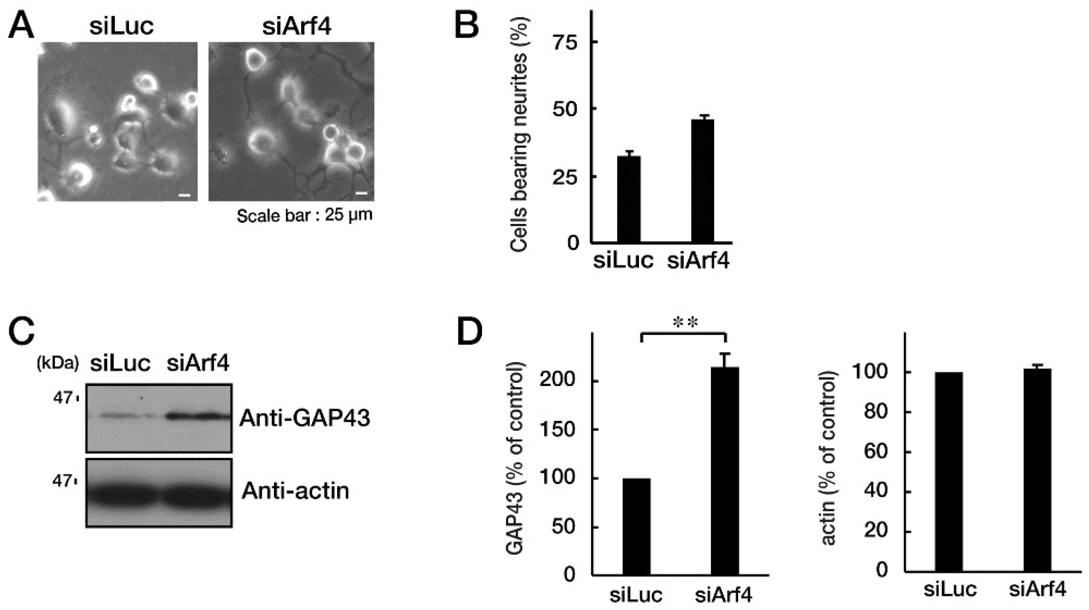 Preprints 76921 g005