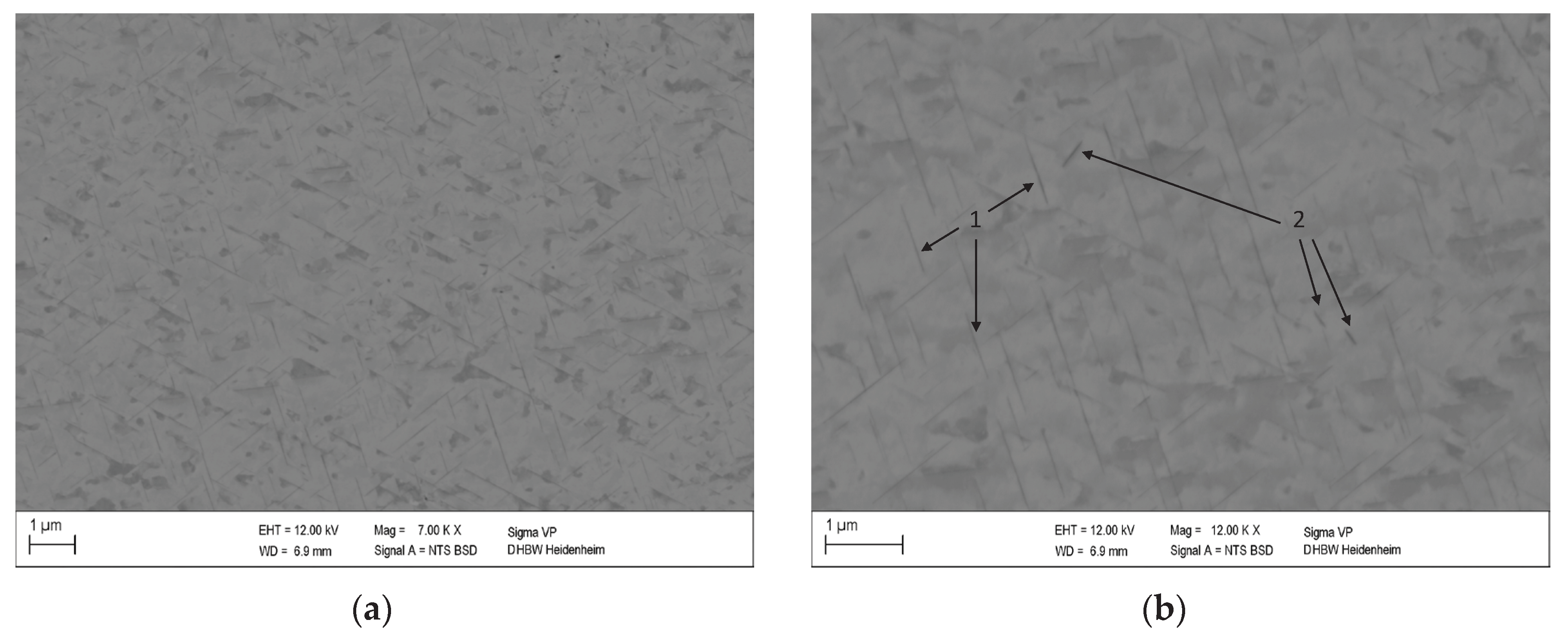 Preprints 70979 g005