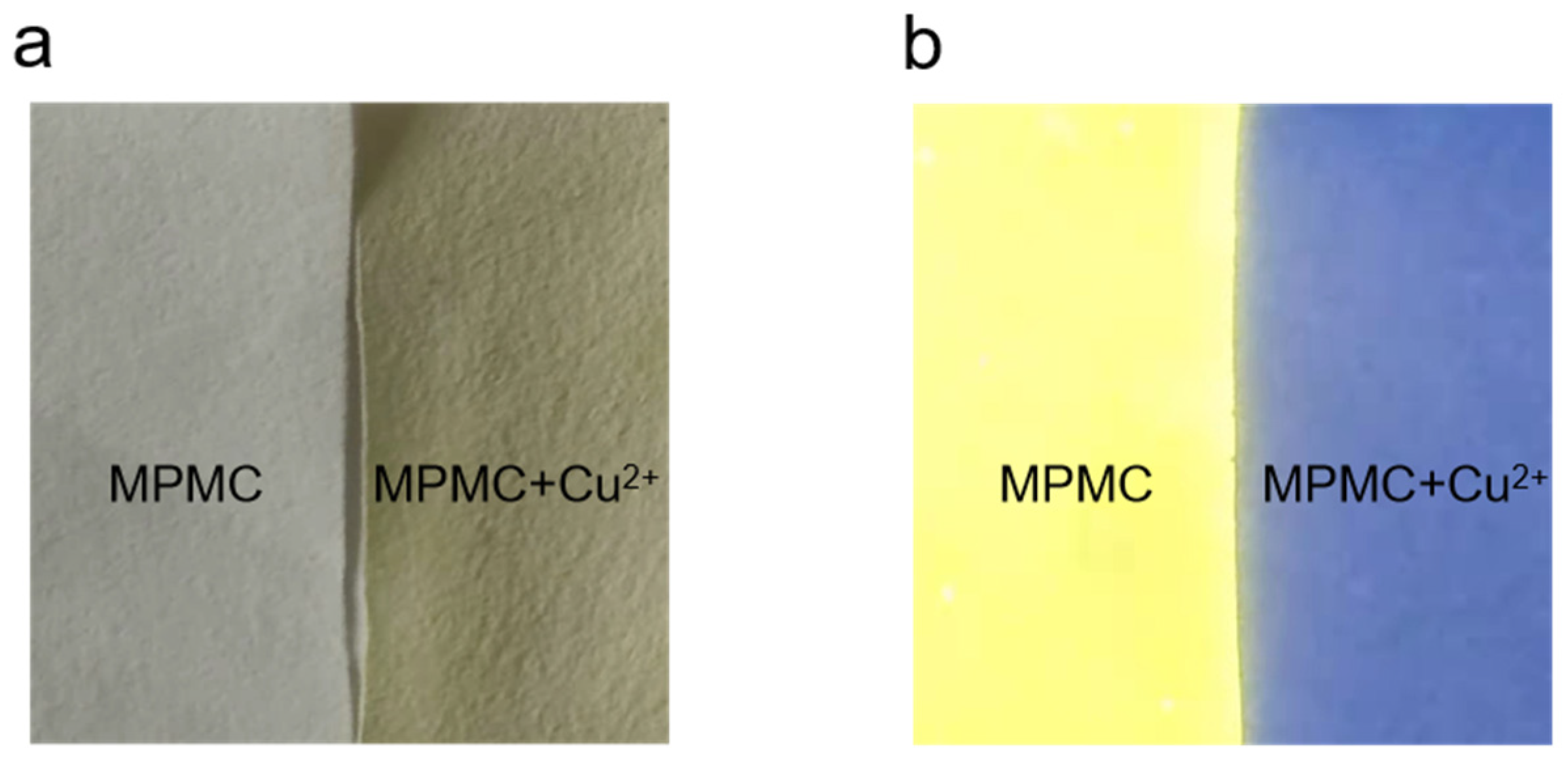 Preprints 84135 g009