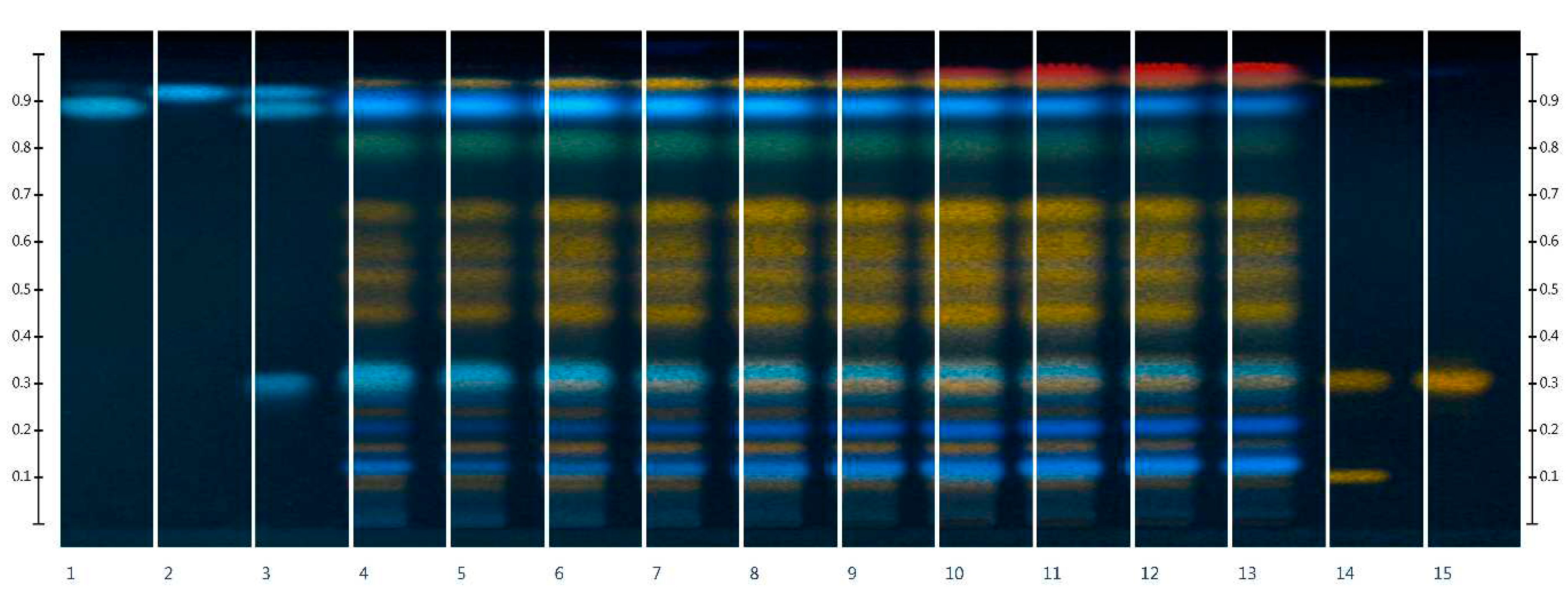 Preprints 93444 g001