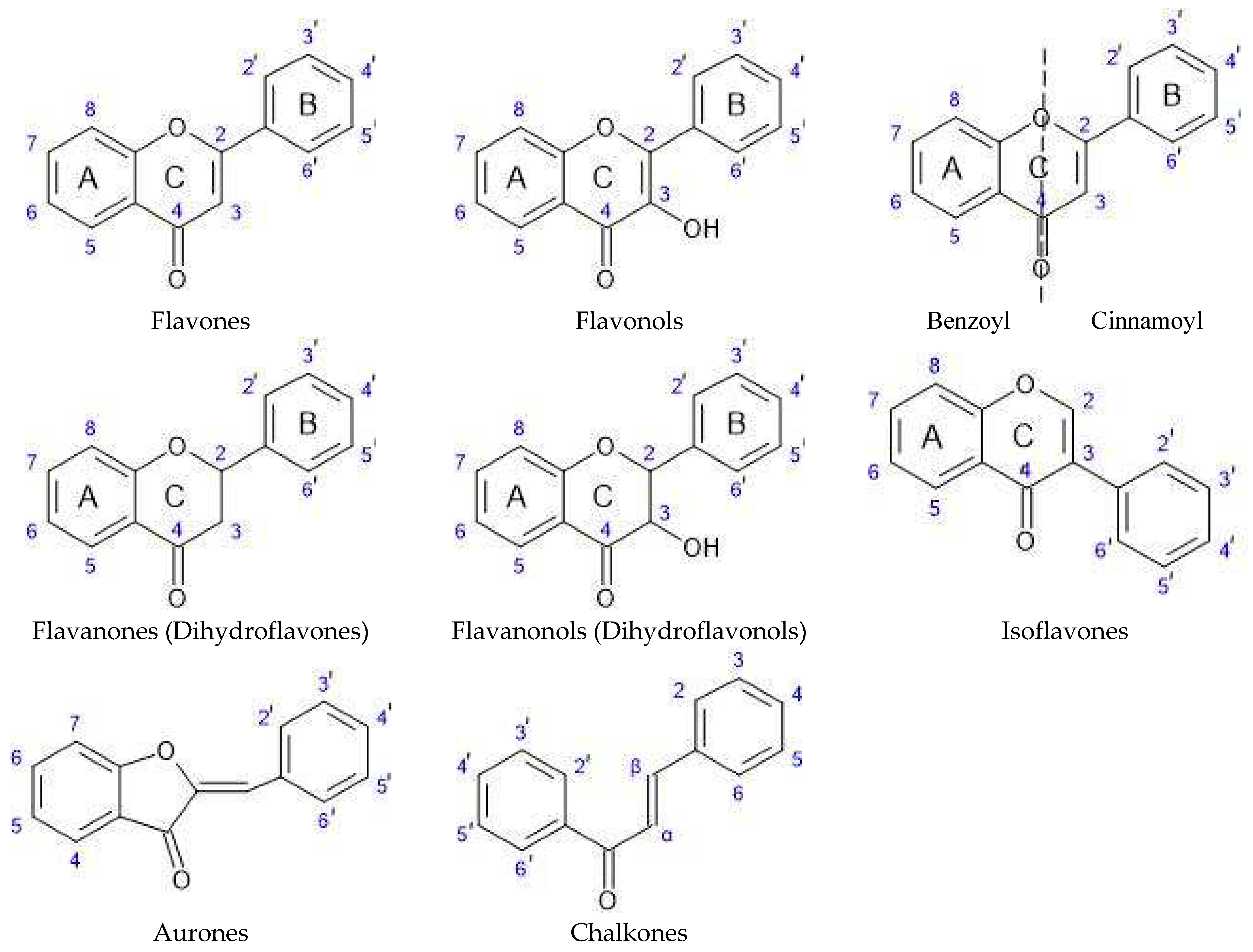 Preprints 93444 g005