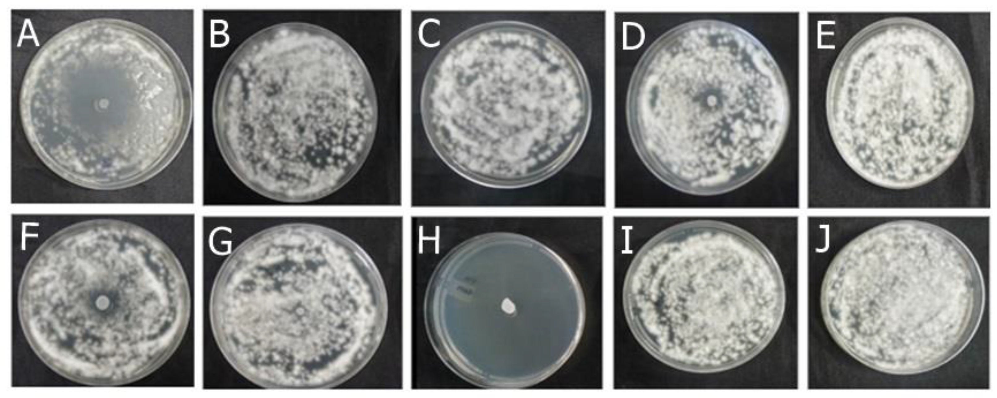 Preprints 115679 g002