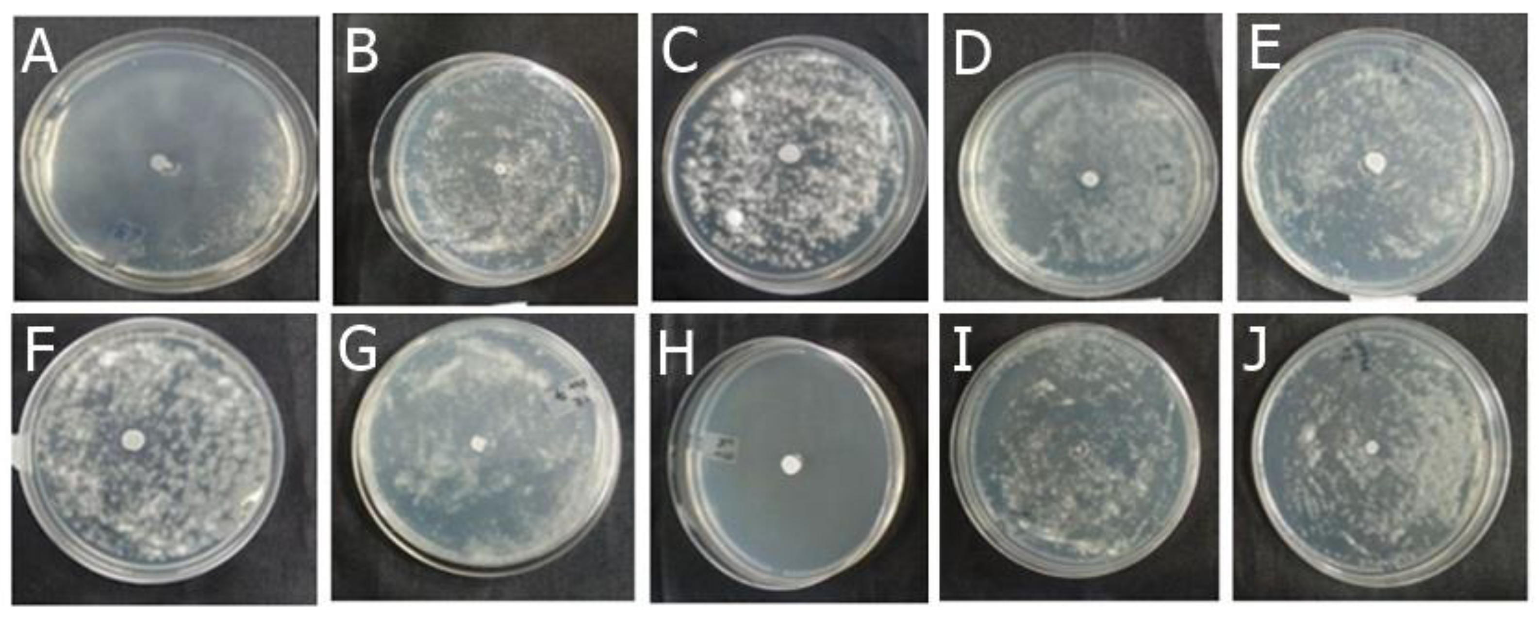 Preprints 115679 g003