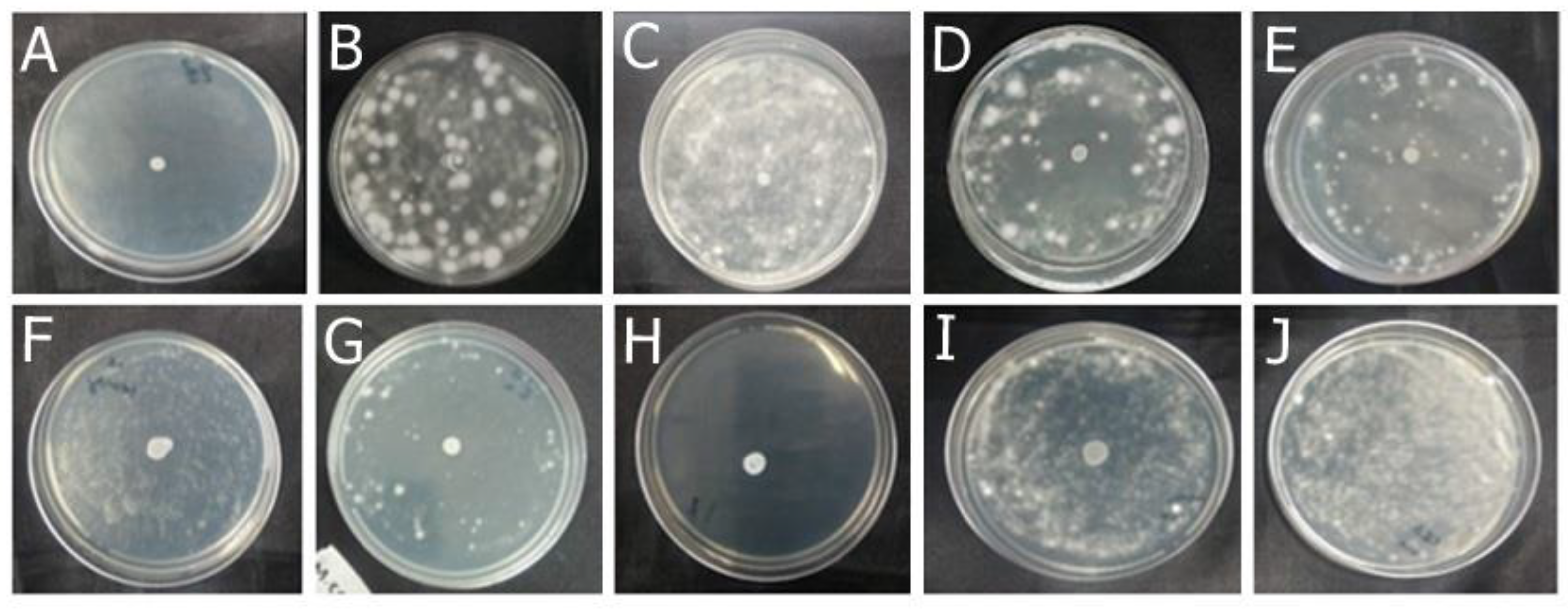 Preprints 115679 g004