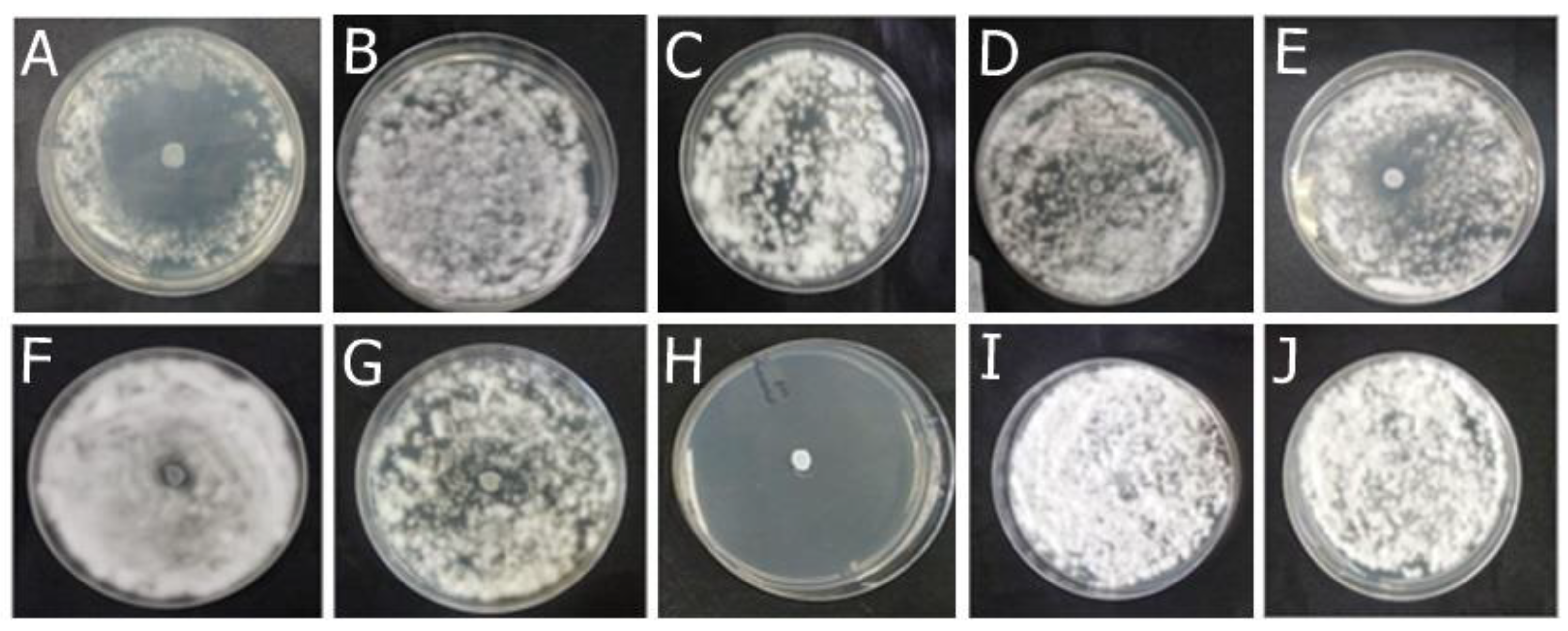 Preprints 115679 g005