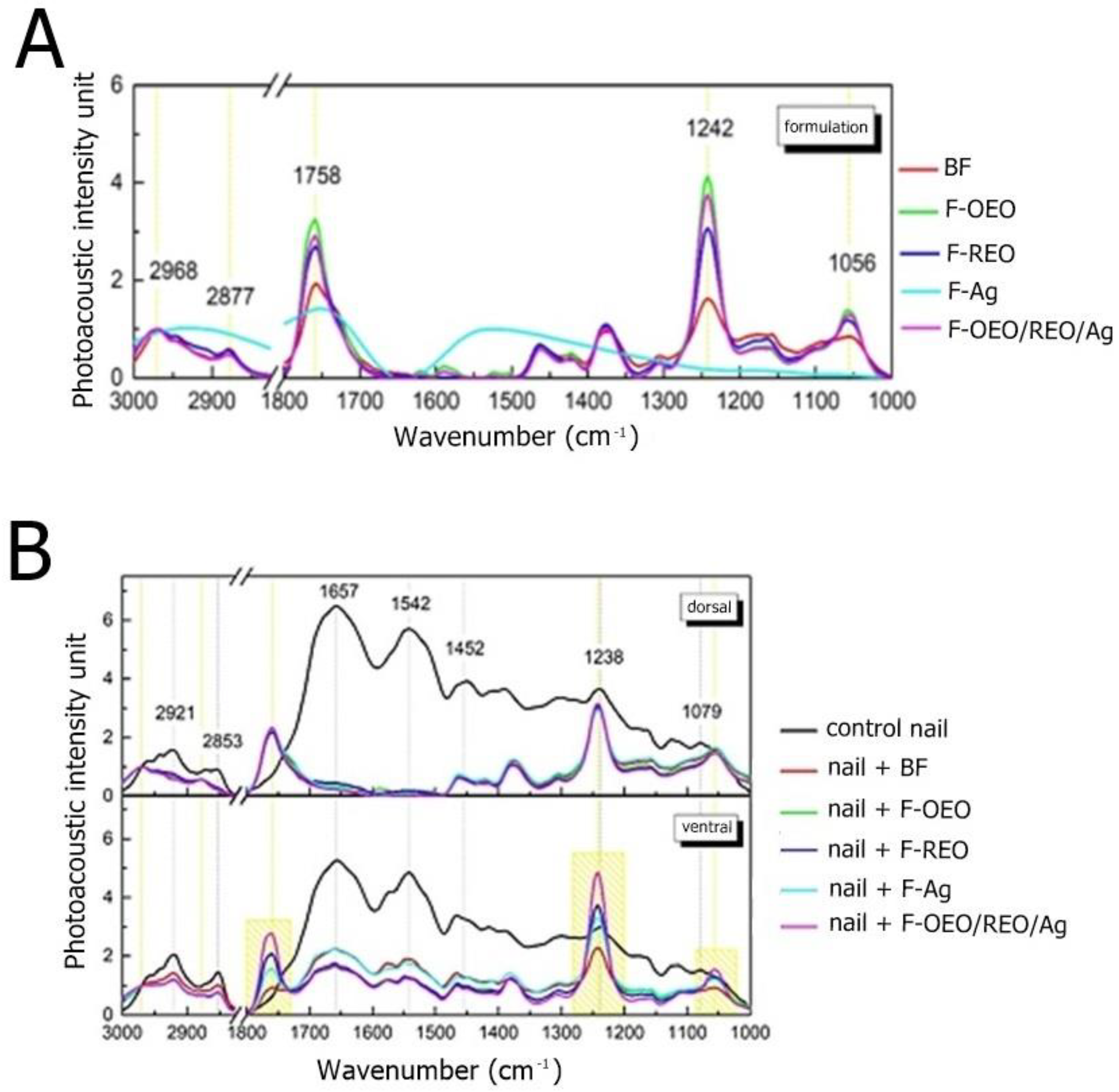 Preprints 115679 g006