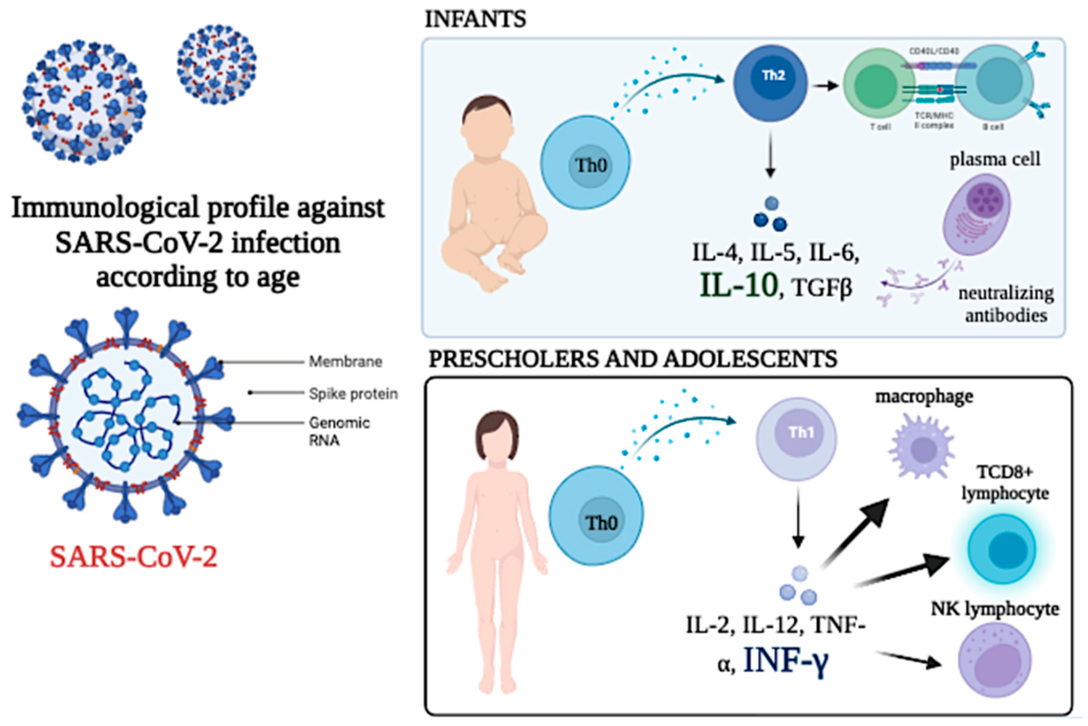 Preprints 71561 g011