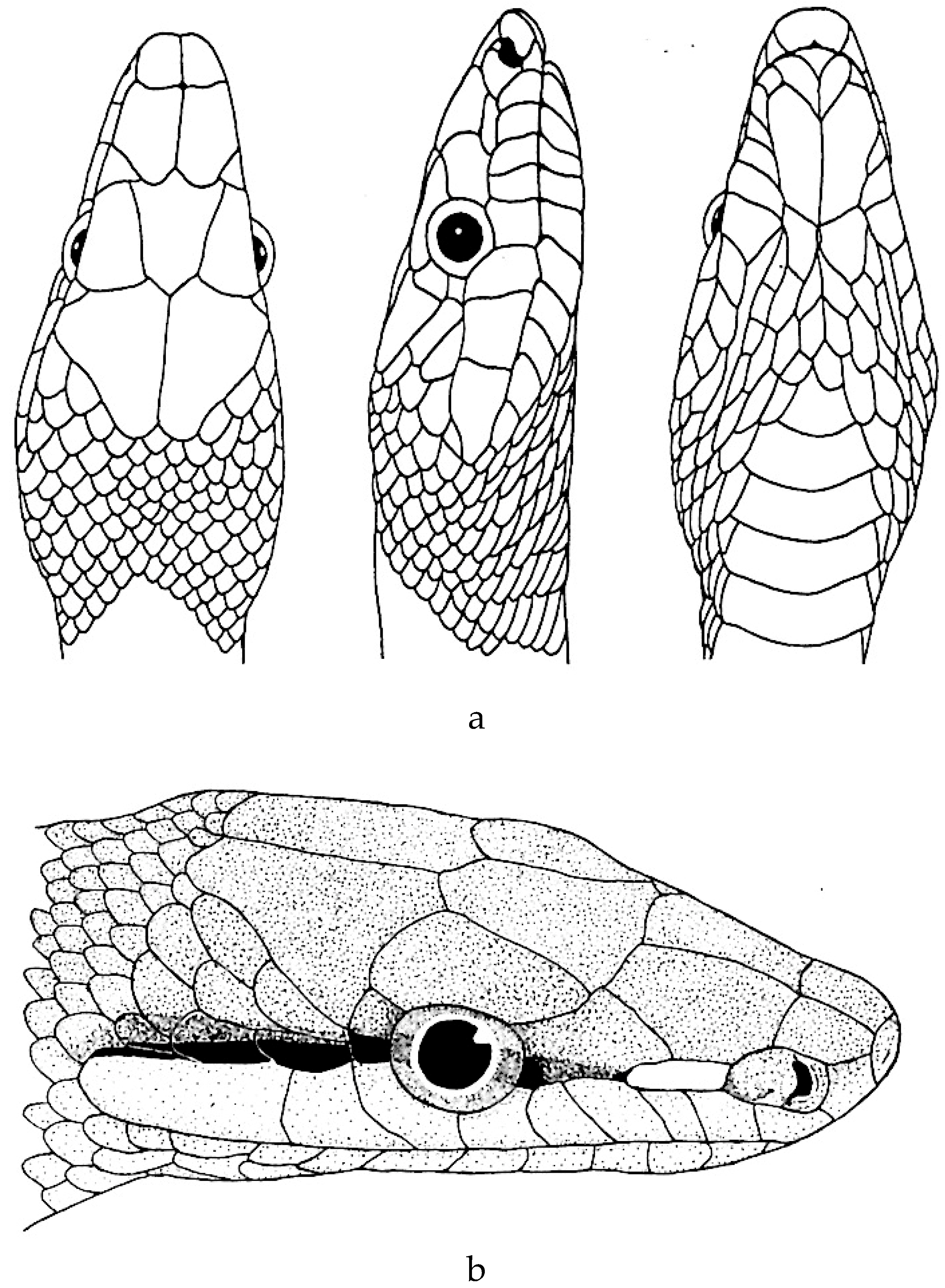 Preprints 113526 g003