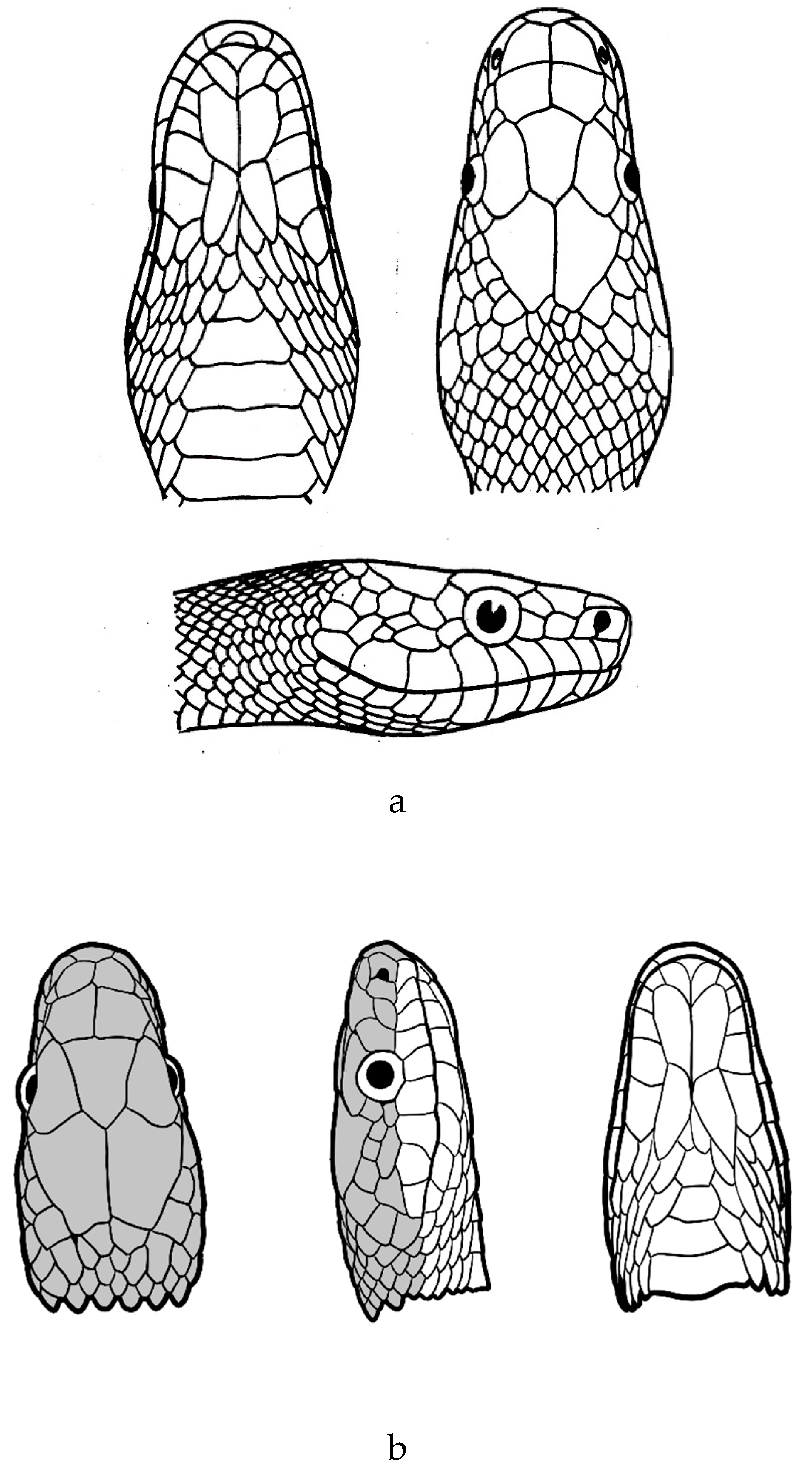 Preprints 113526 g007