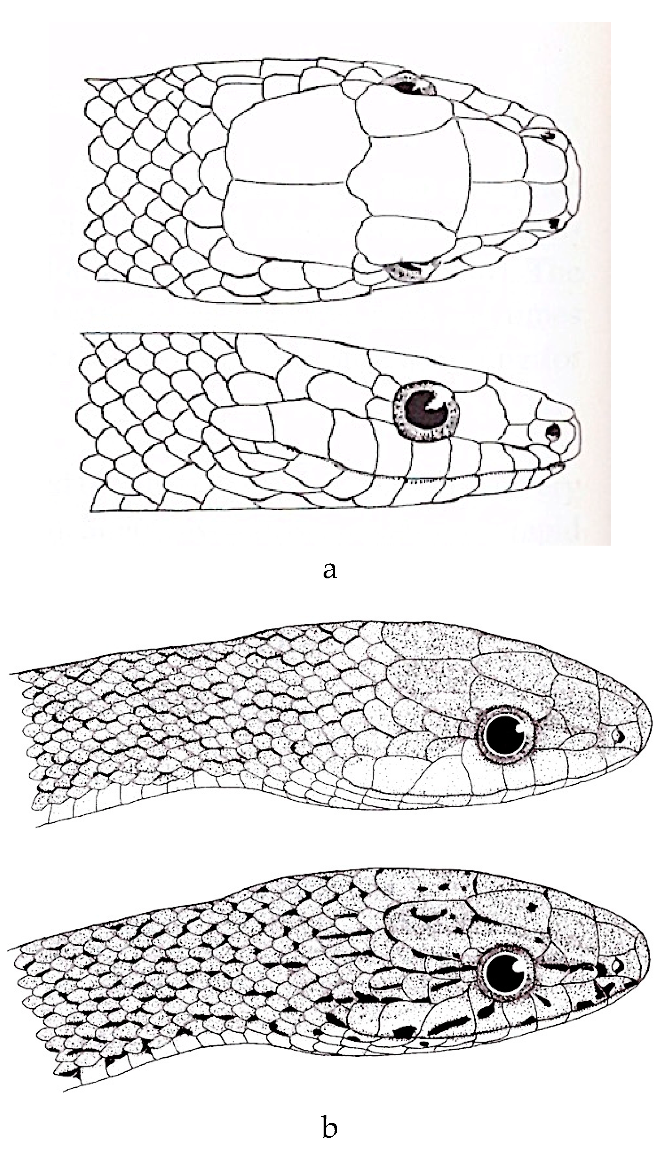 Preprints 113526 g008