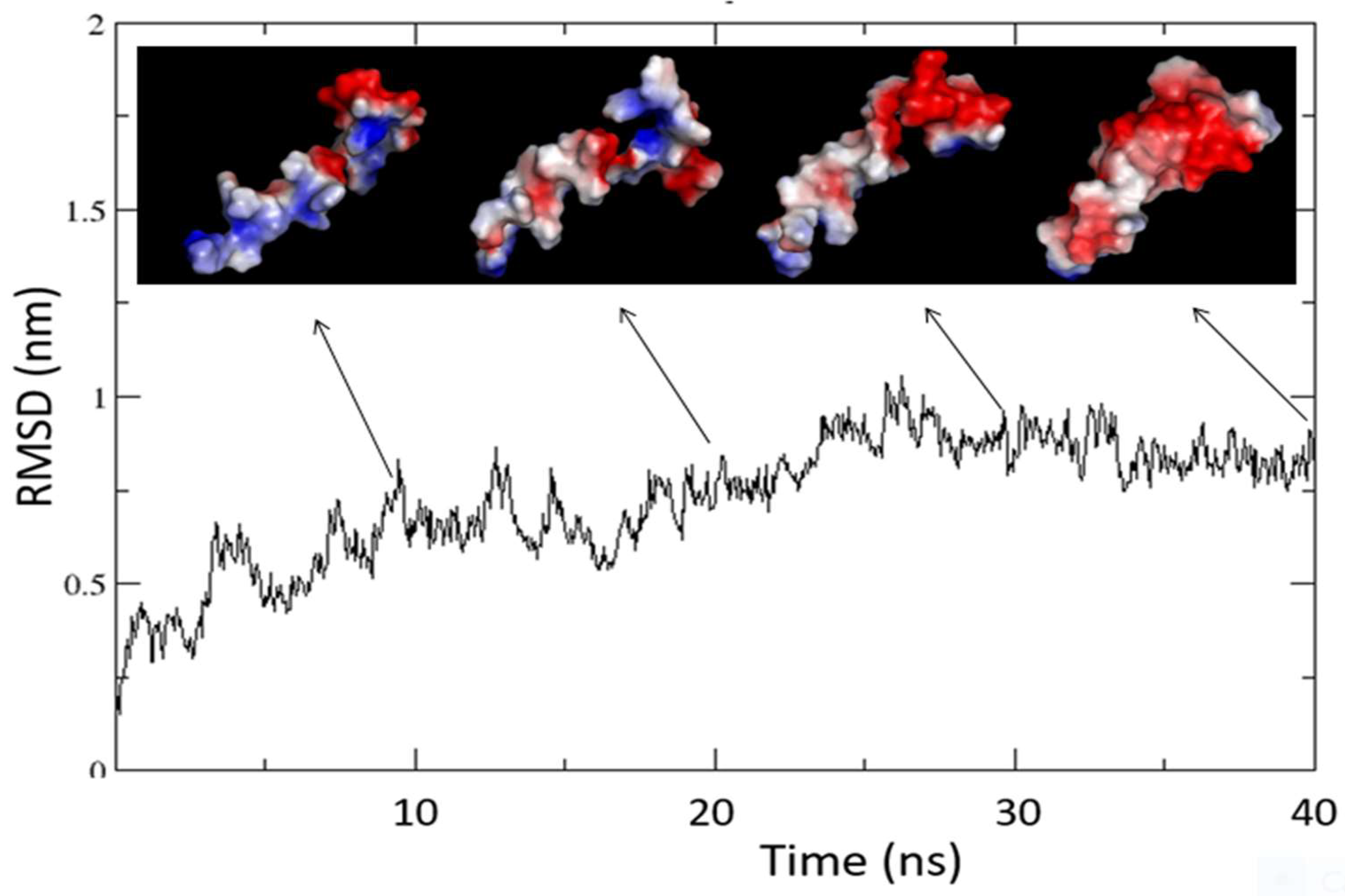 Preprints 71187 g010