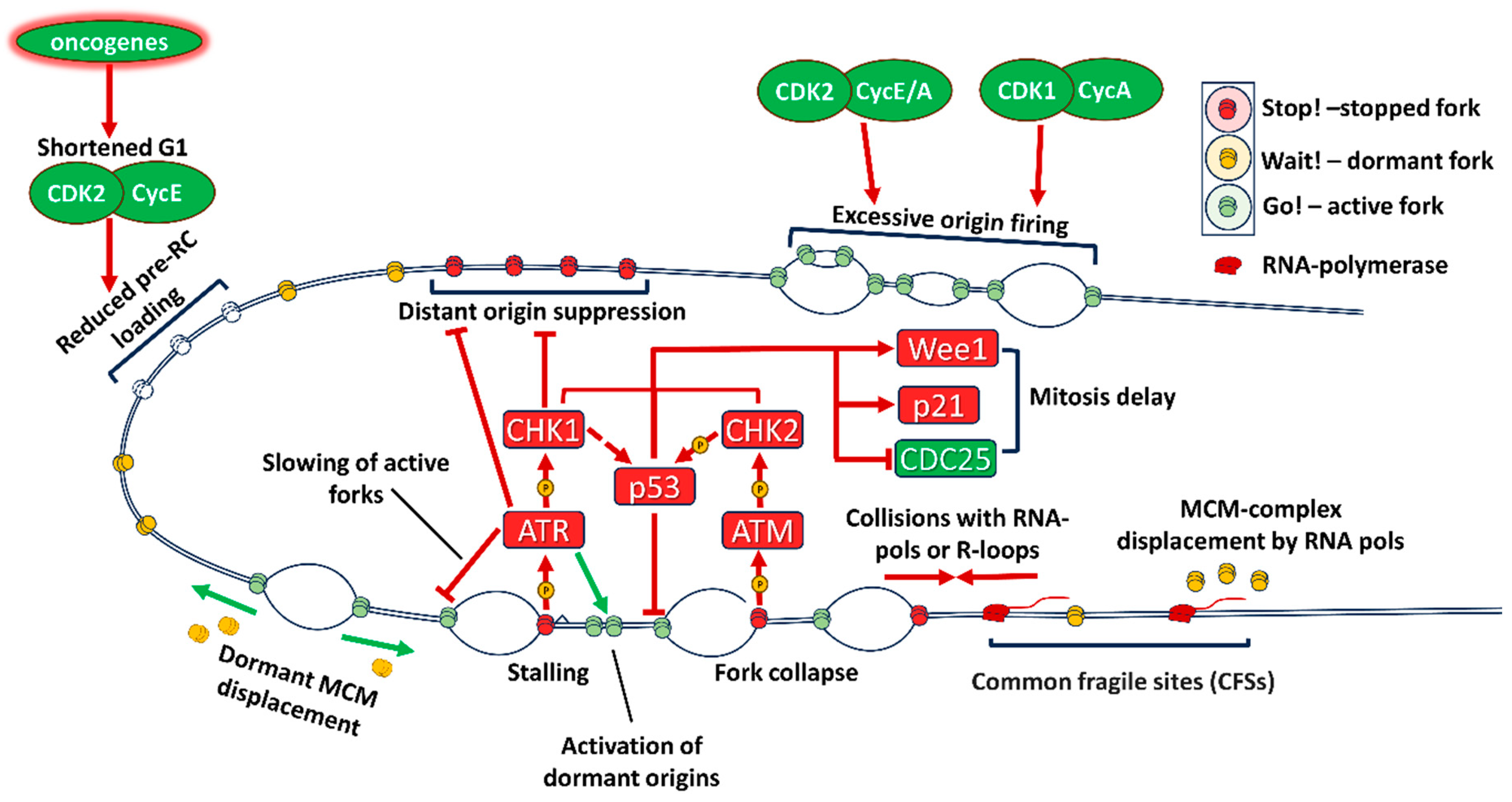 Preprints 92663 g002