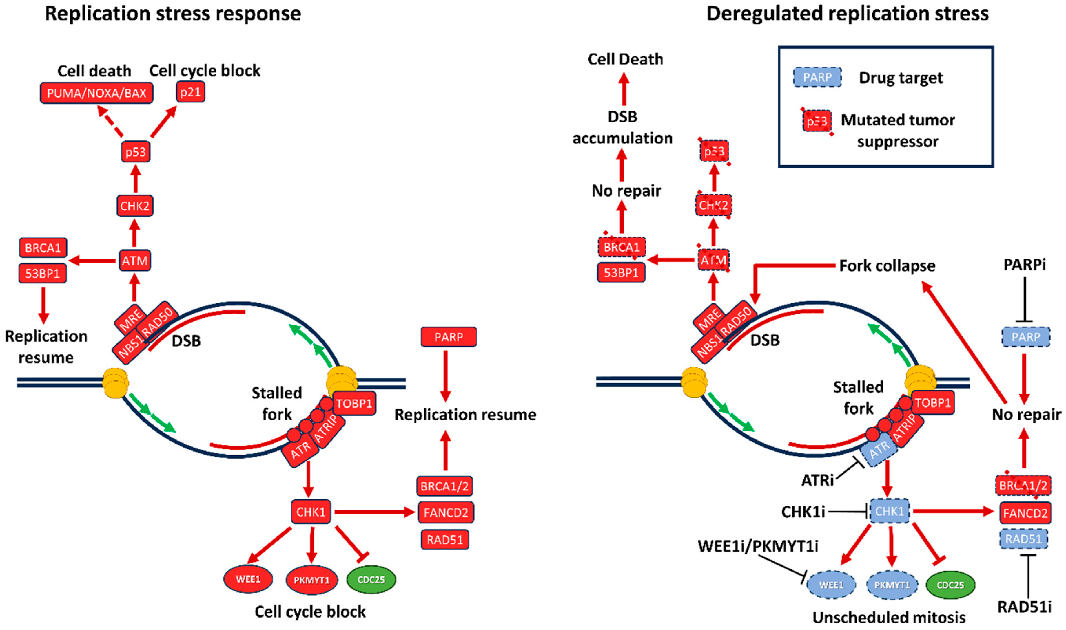 Preprints 92663 g003