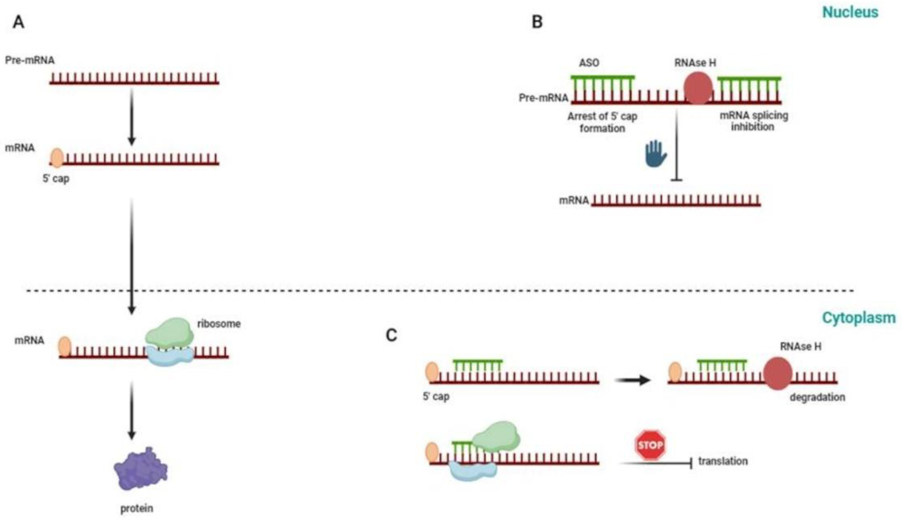 Preprints 100221 g001