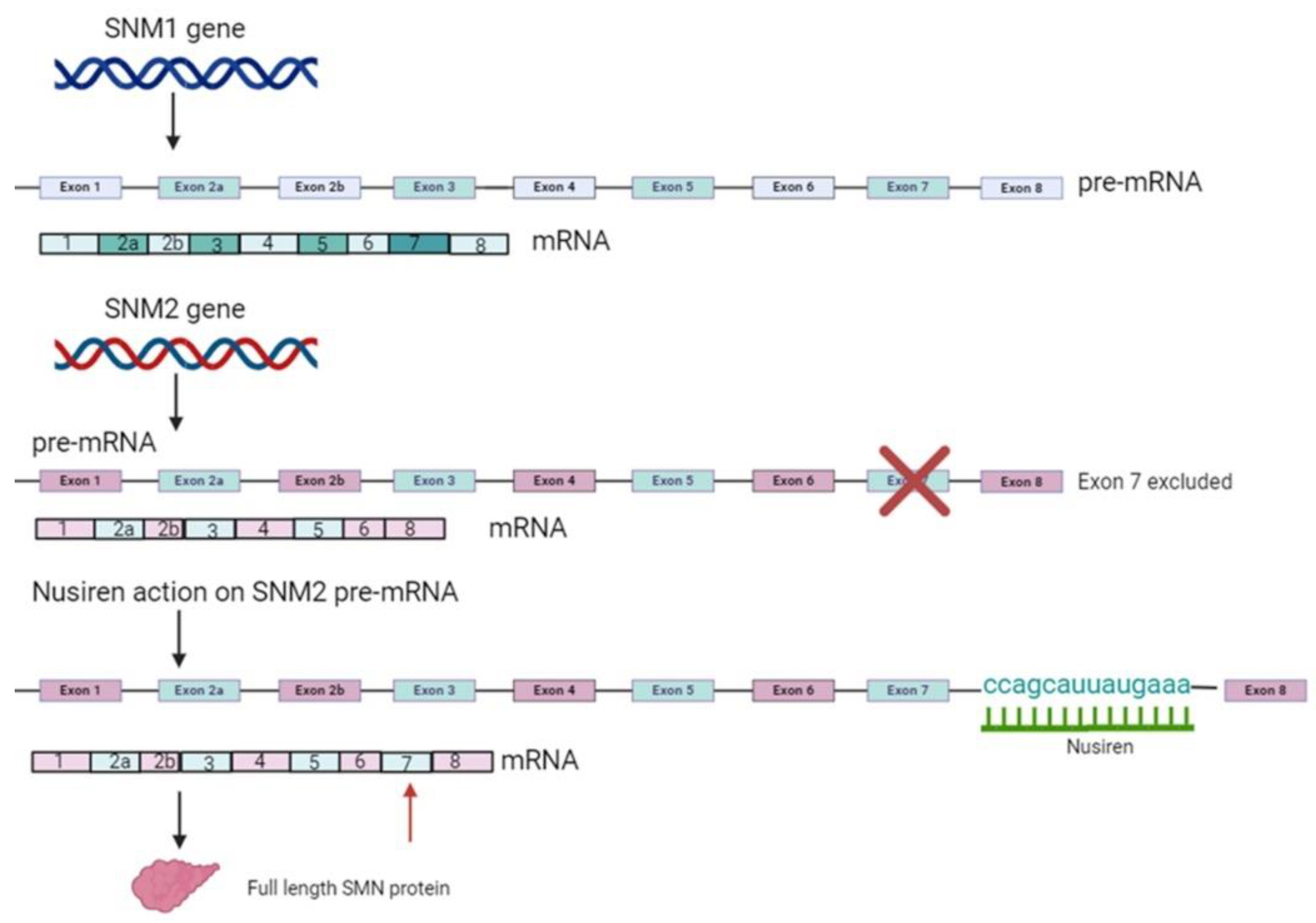 Preprints 100221 g002