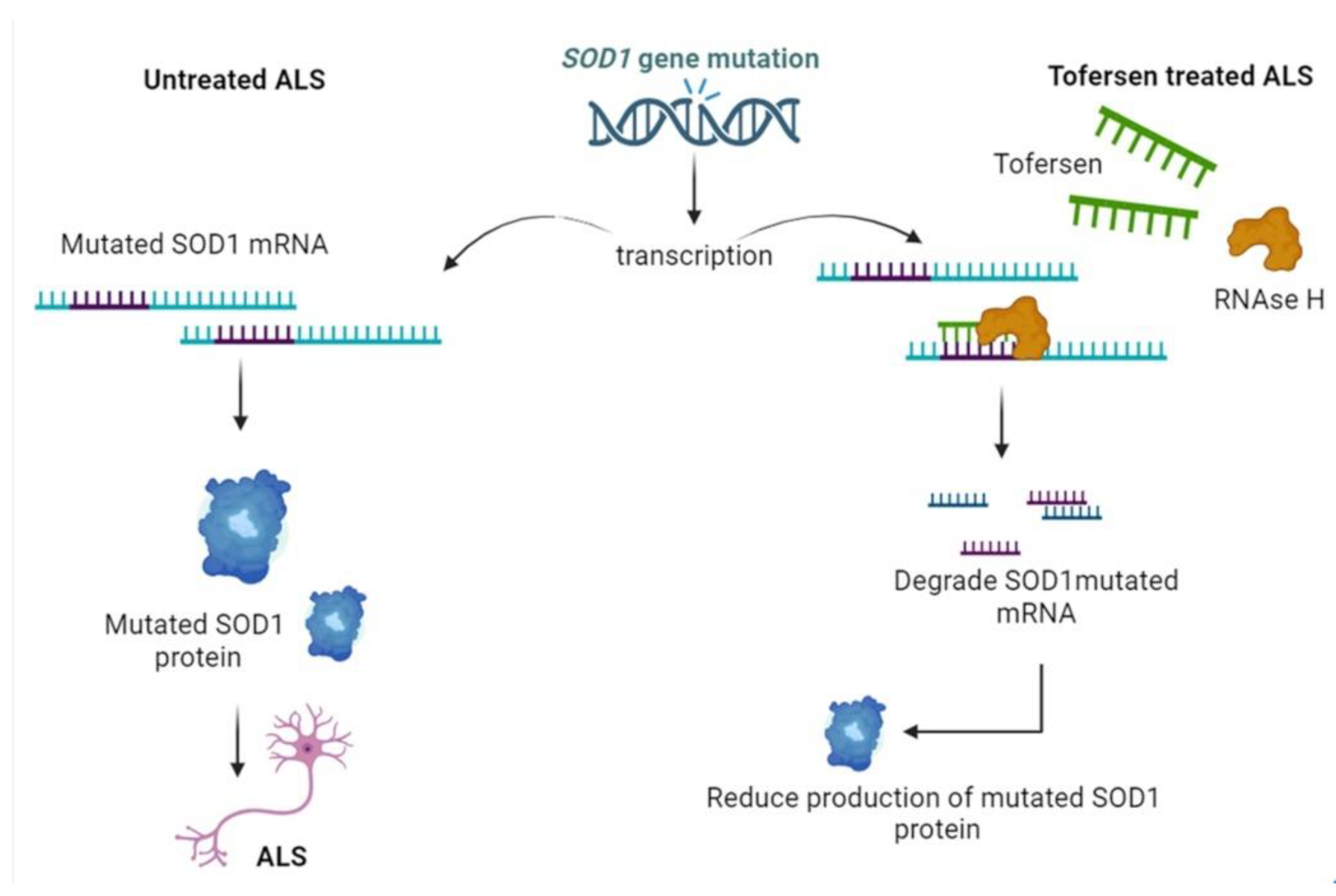 Preprints 100221 g003