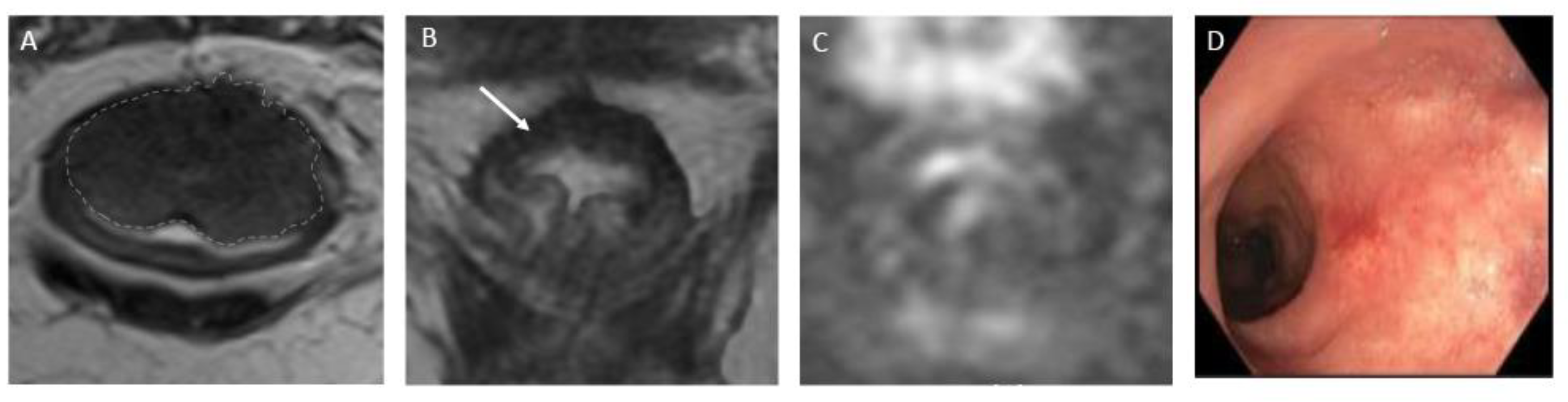 Preprints 89993 g002