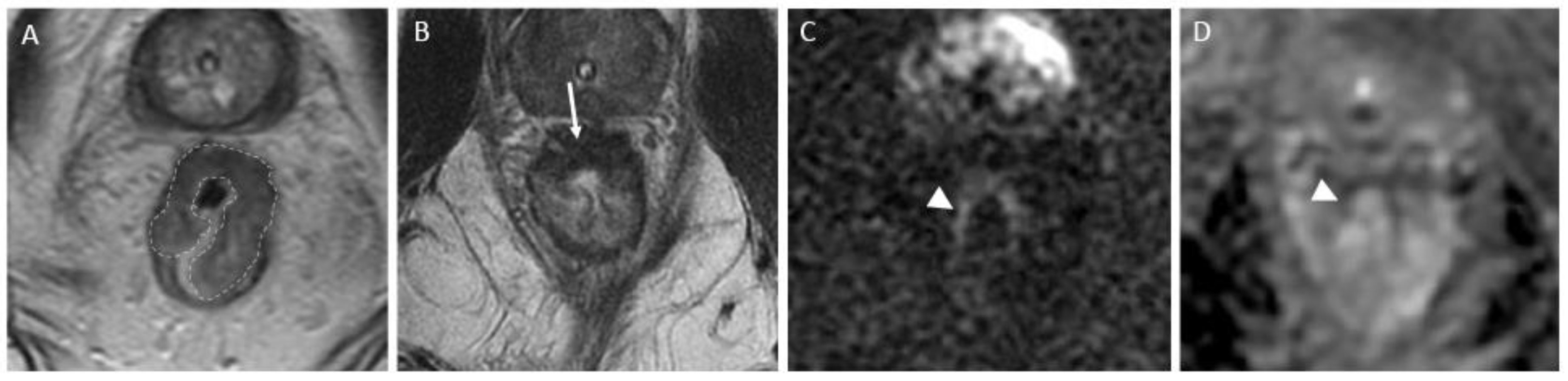 Preprints 89993 g003