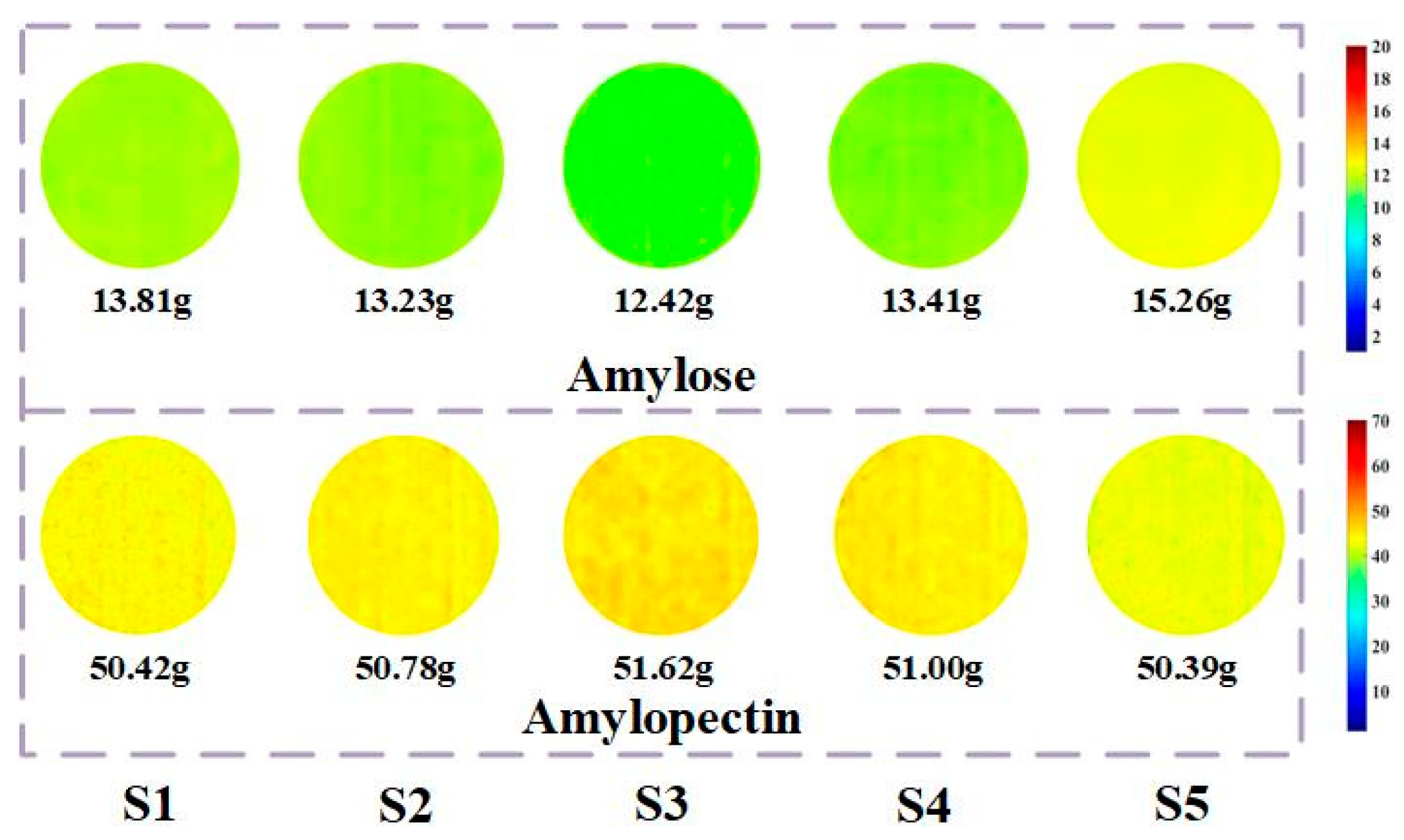 Preprints 92483 g006