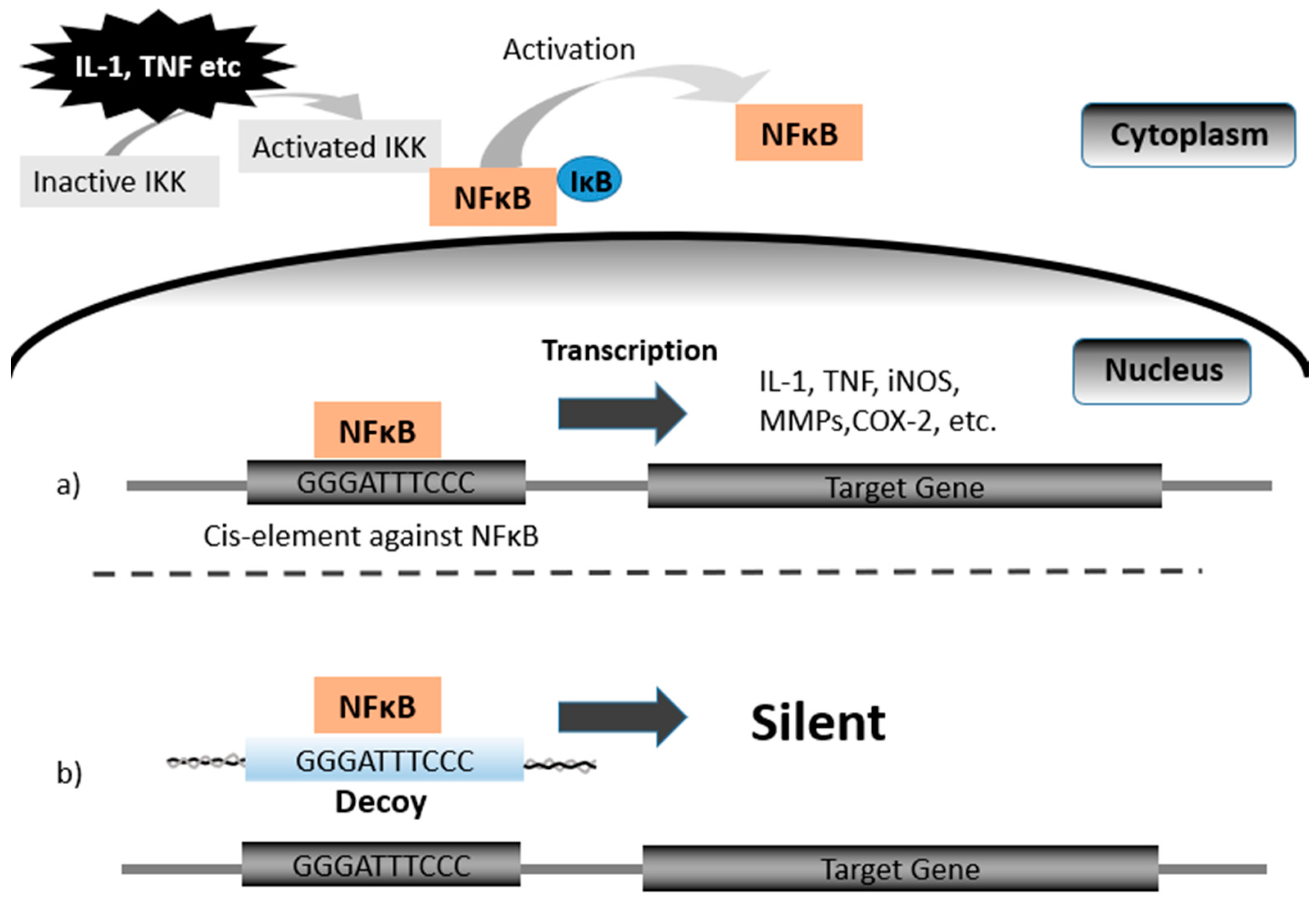 Preprints 88765 g001