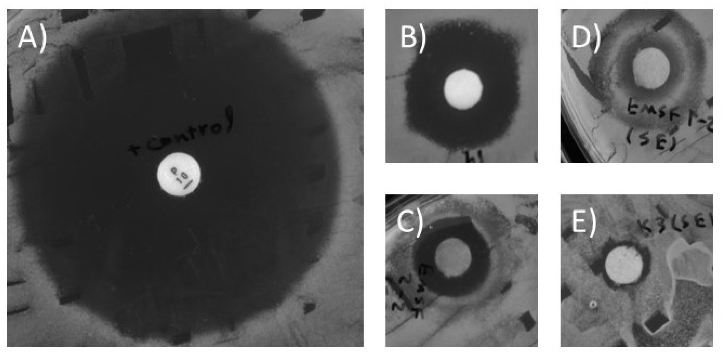 Preprints 91151 g001