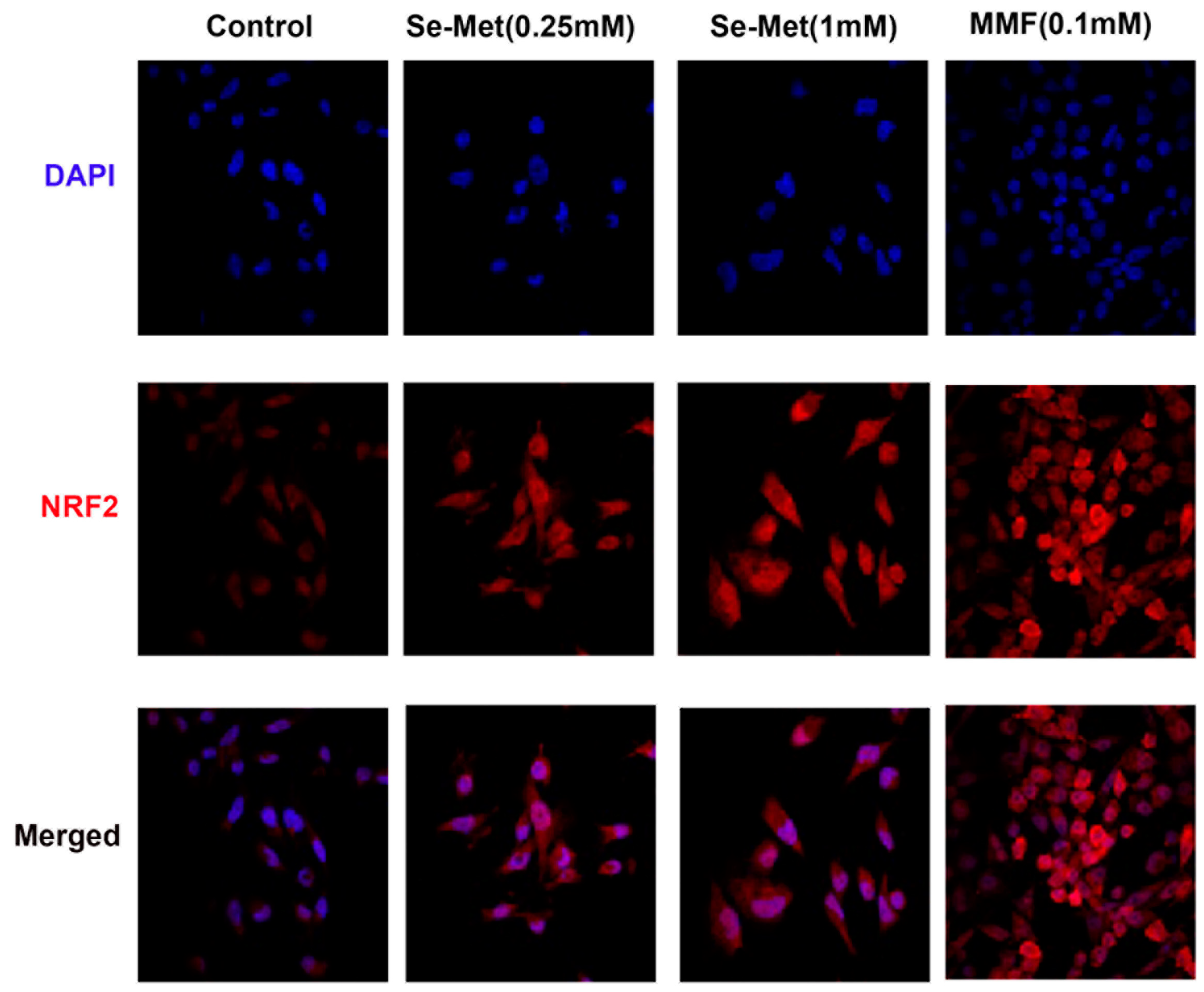 Preprints 91873 g002