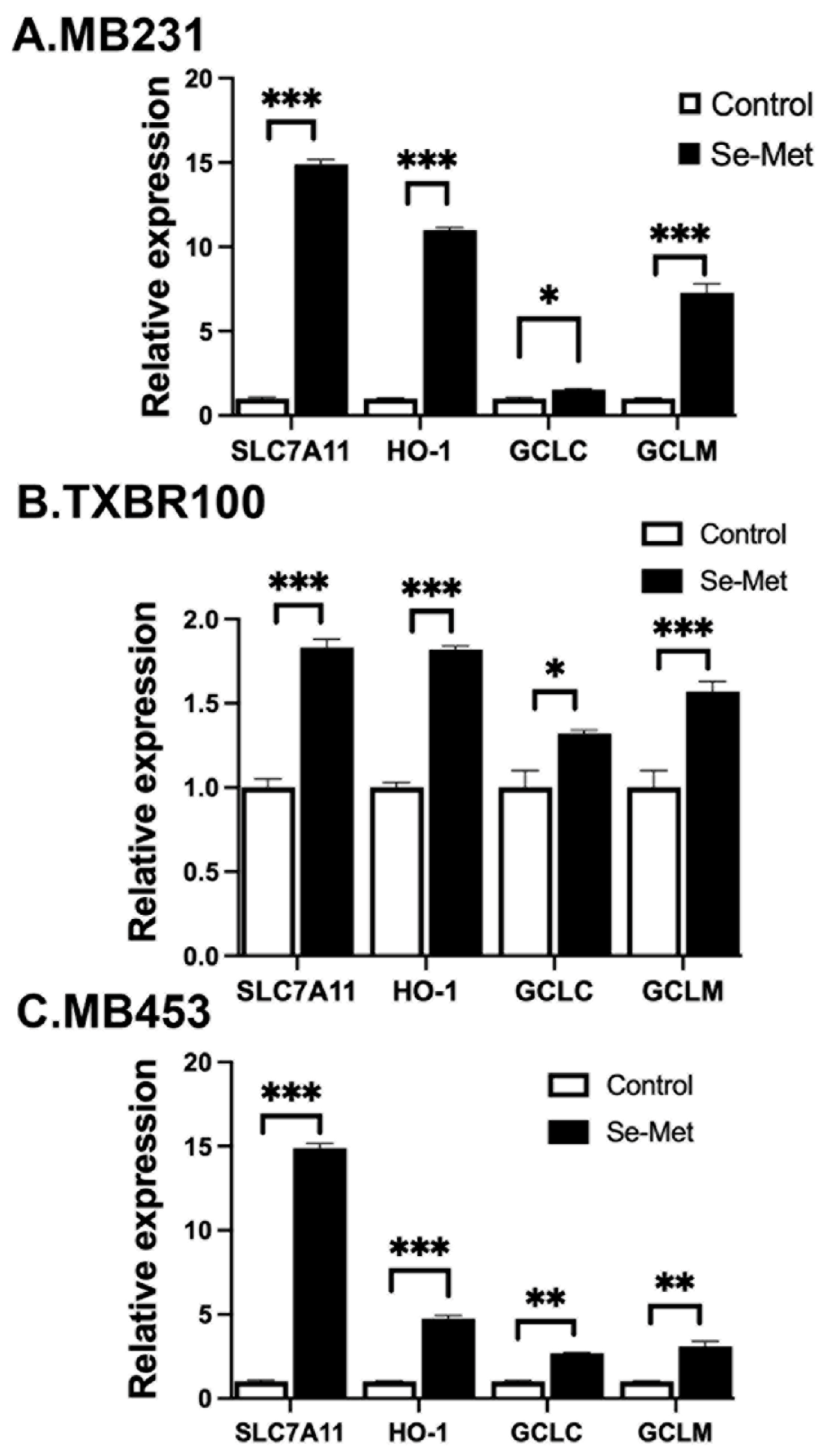 Preprints 91873 g003