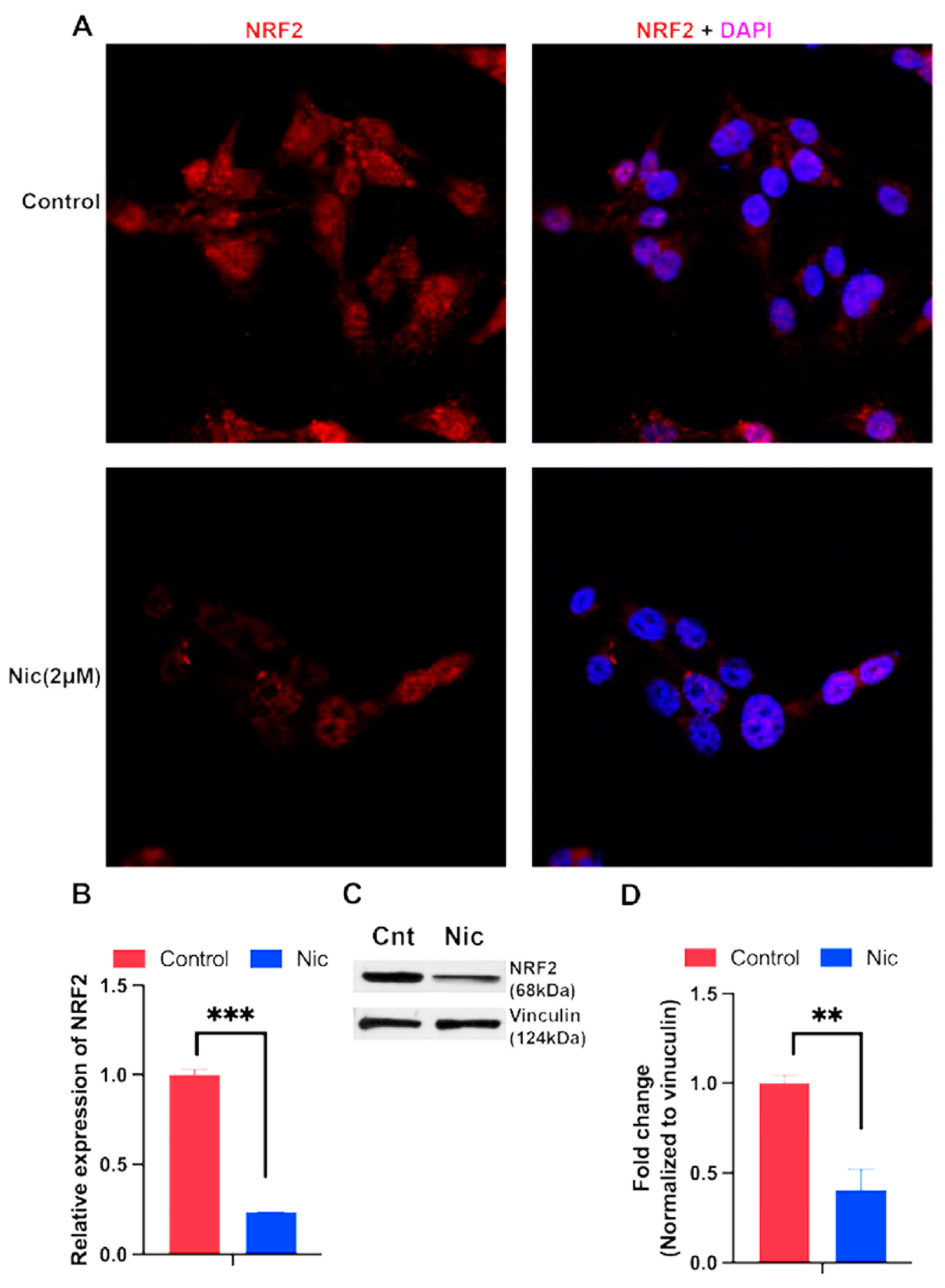 Preprints 91873 g006