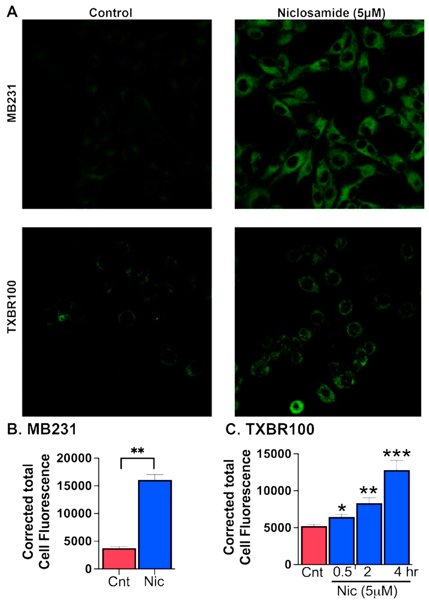 Preprints 91873 g007