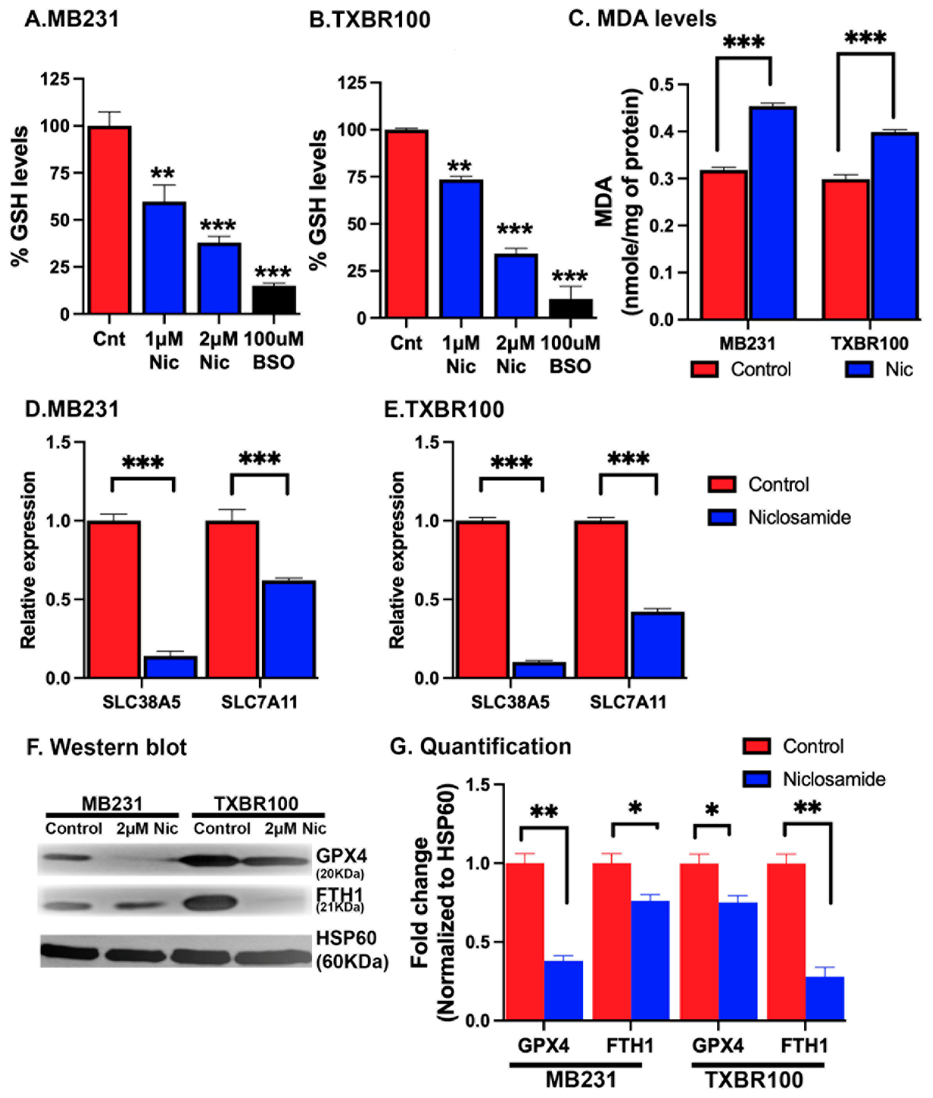 Preprints 91873 g008