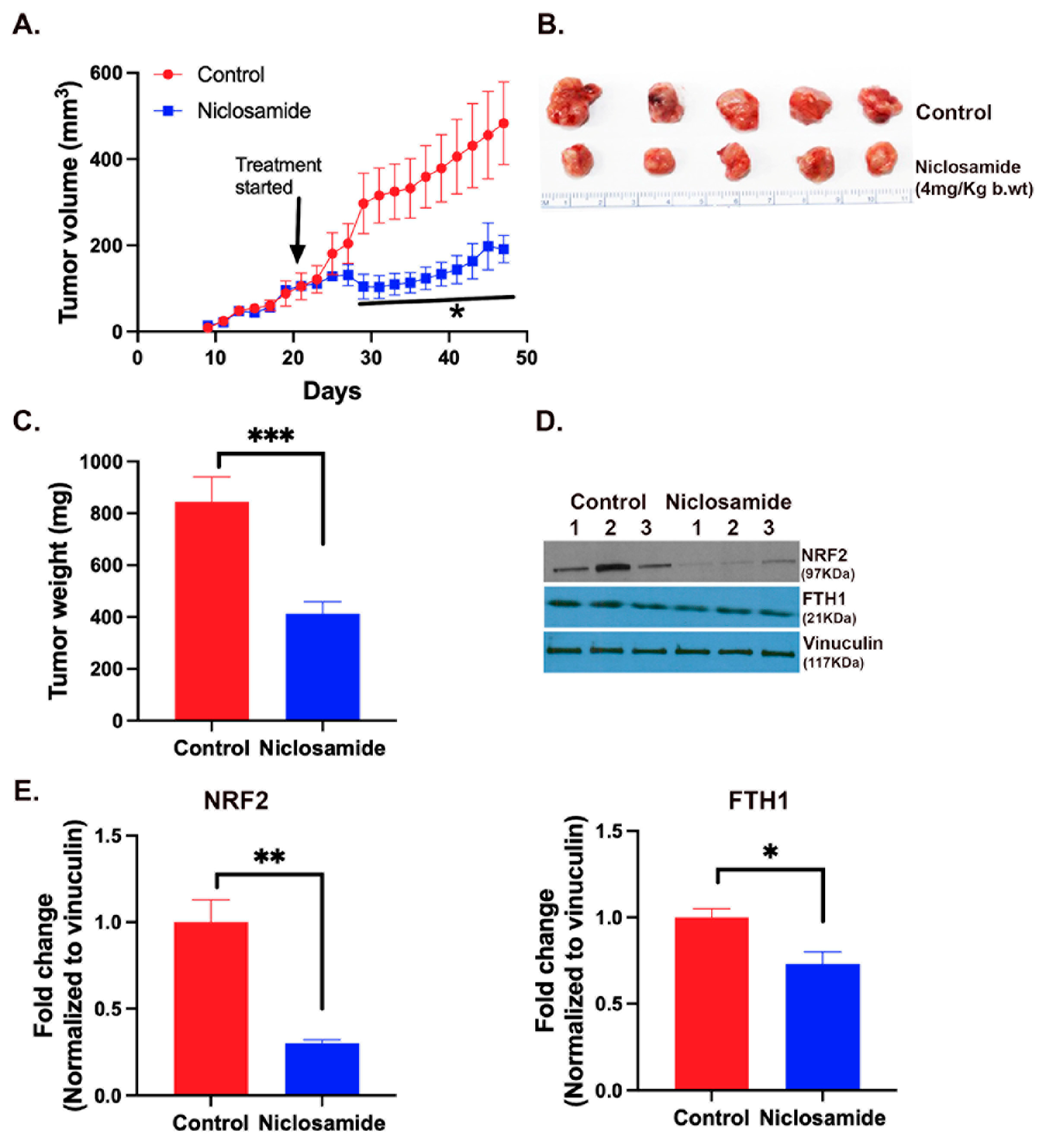 Preprints 91873 g010