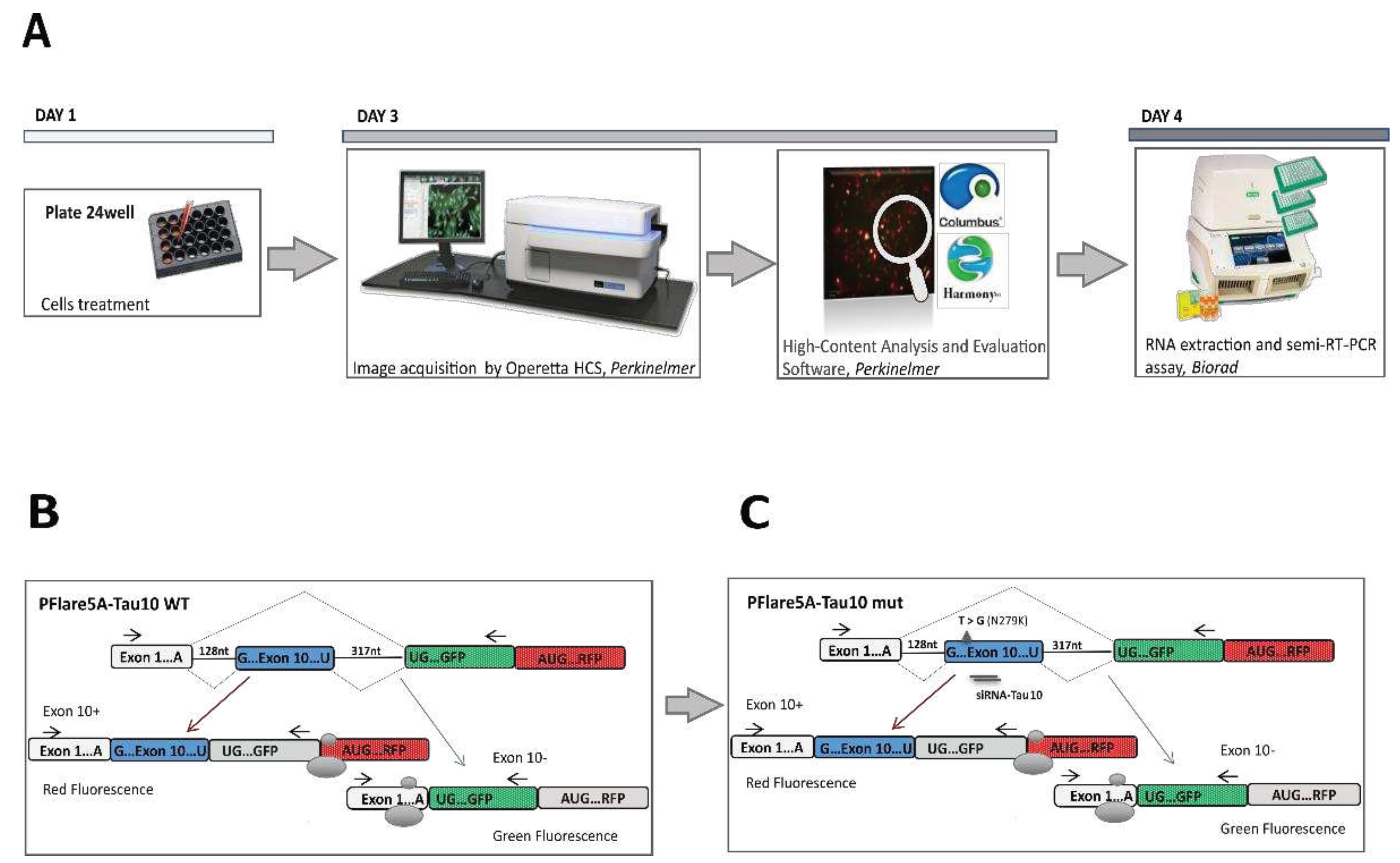 Preprints 77664 g001