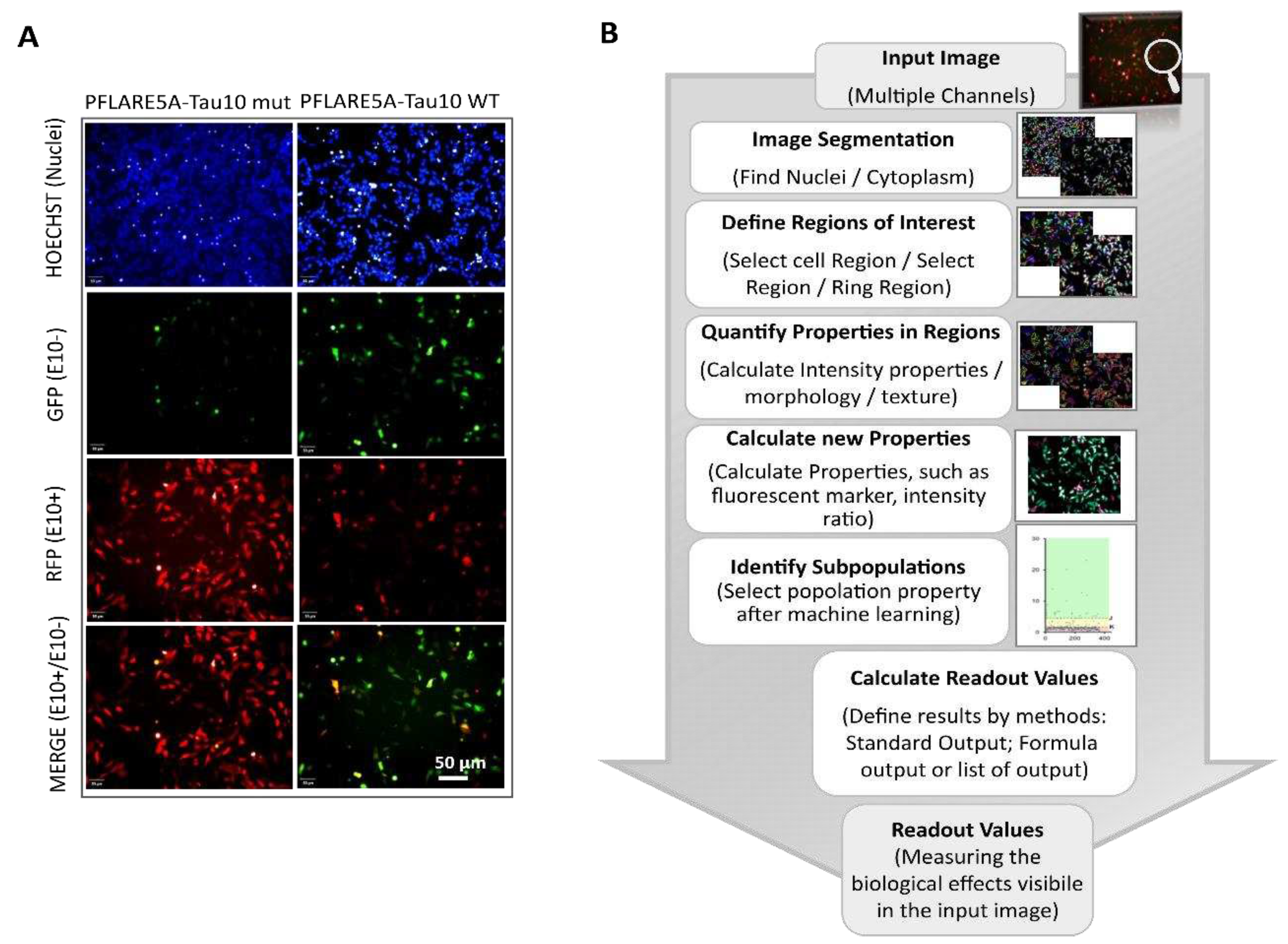 Preprints 77664 g002