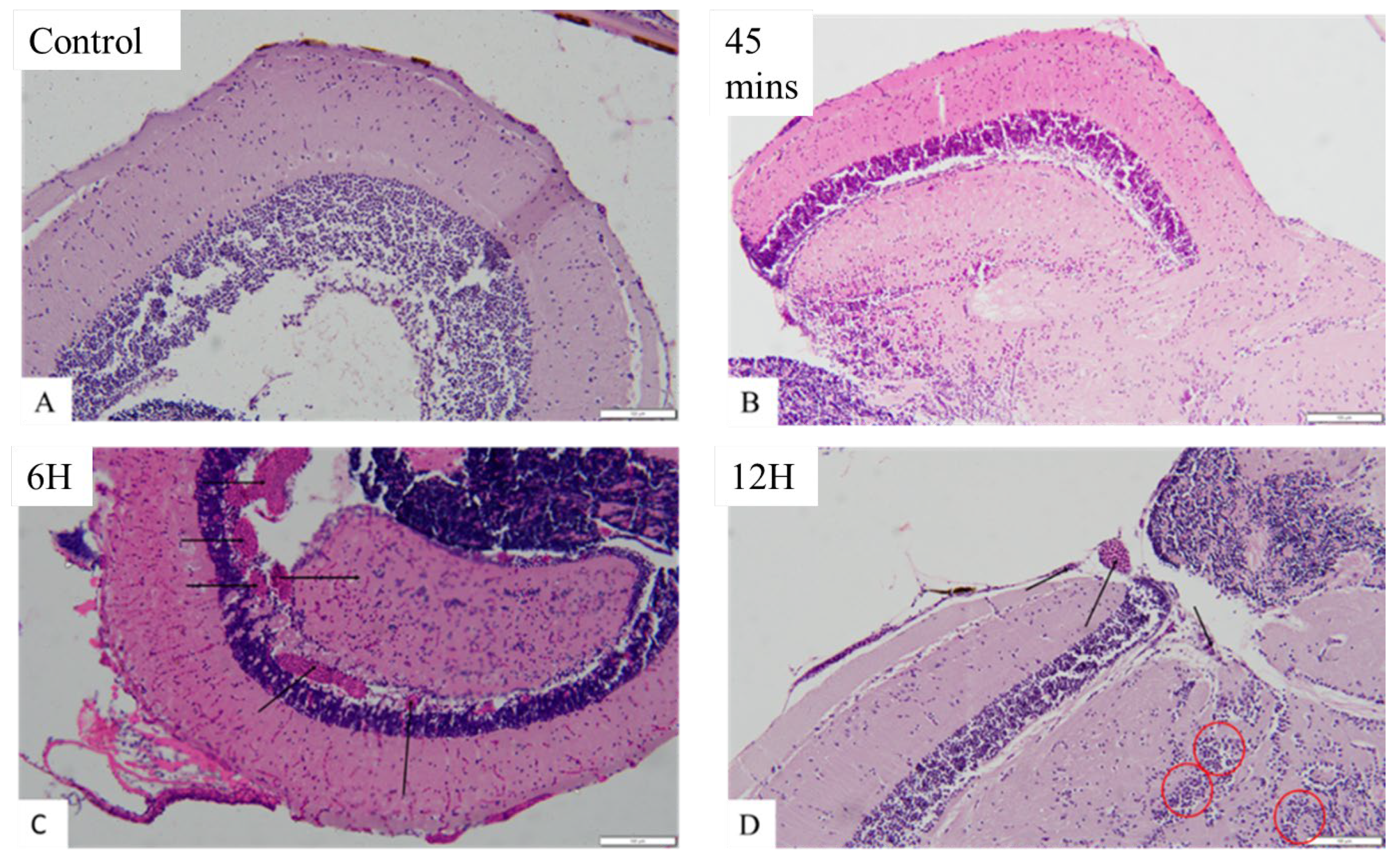 Preprints 116041 g007