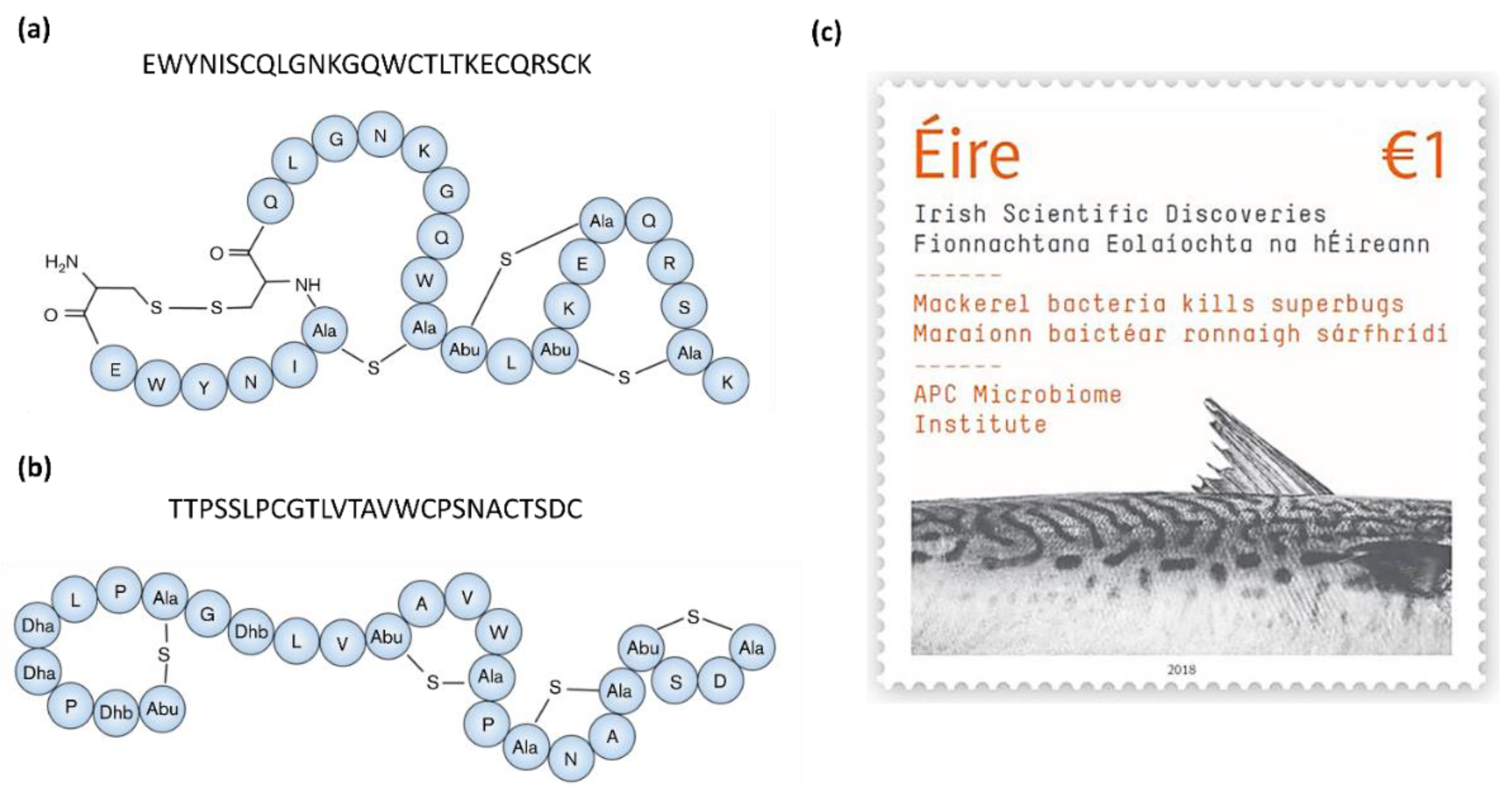 Preprints 106832 g002