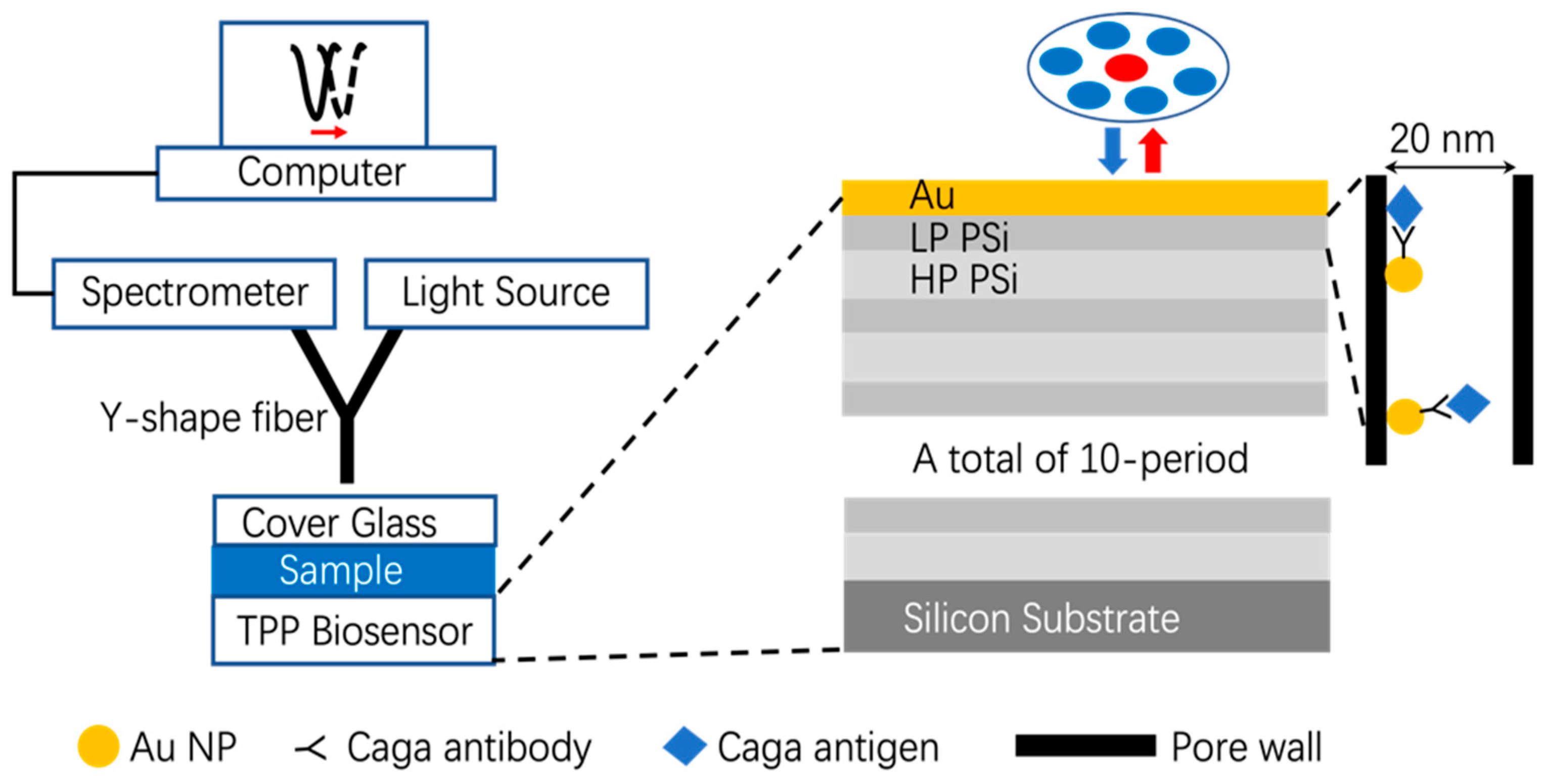 Preprints 97690 g001