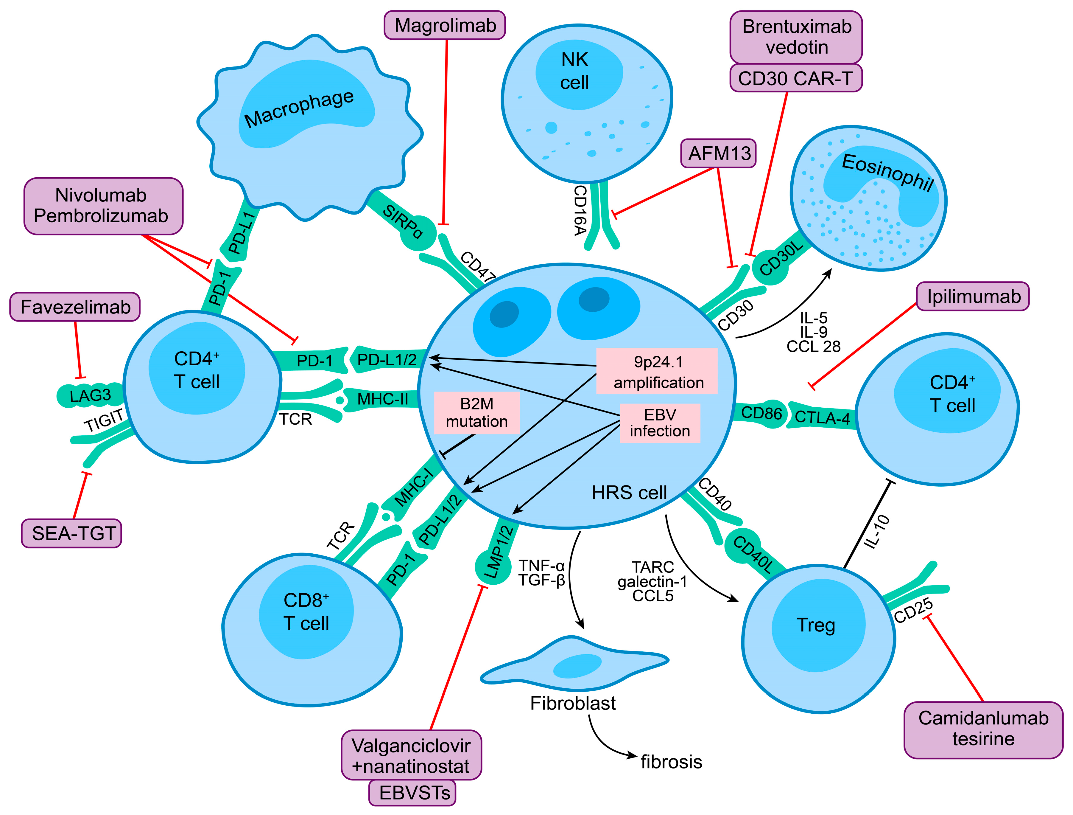 Preprints 78718 g002