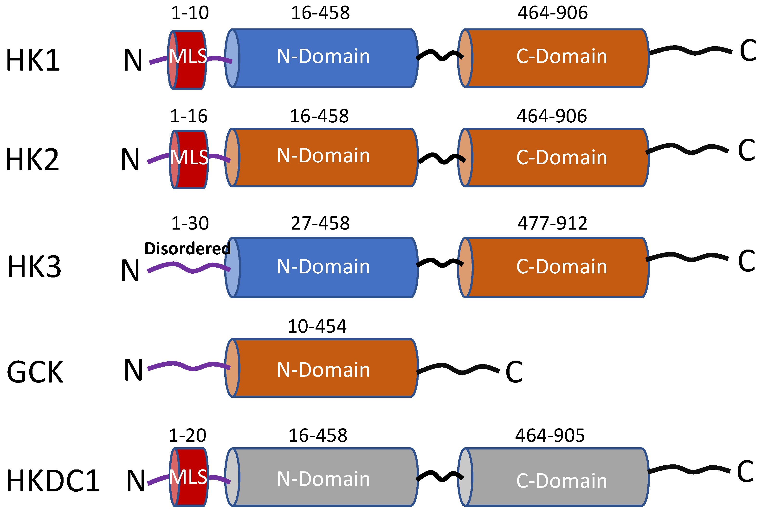 Preprints 70155 g001