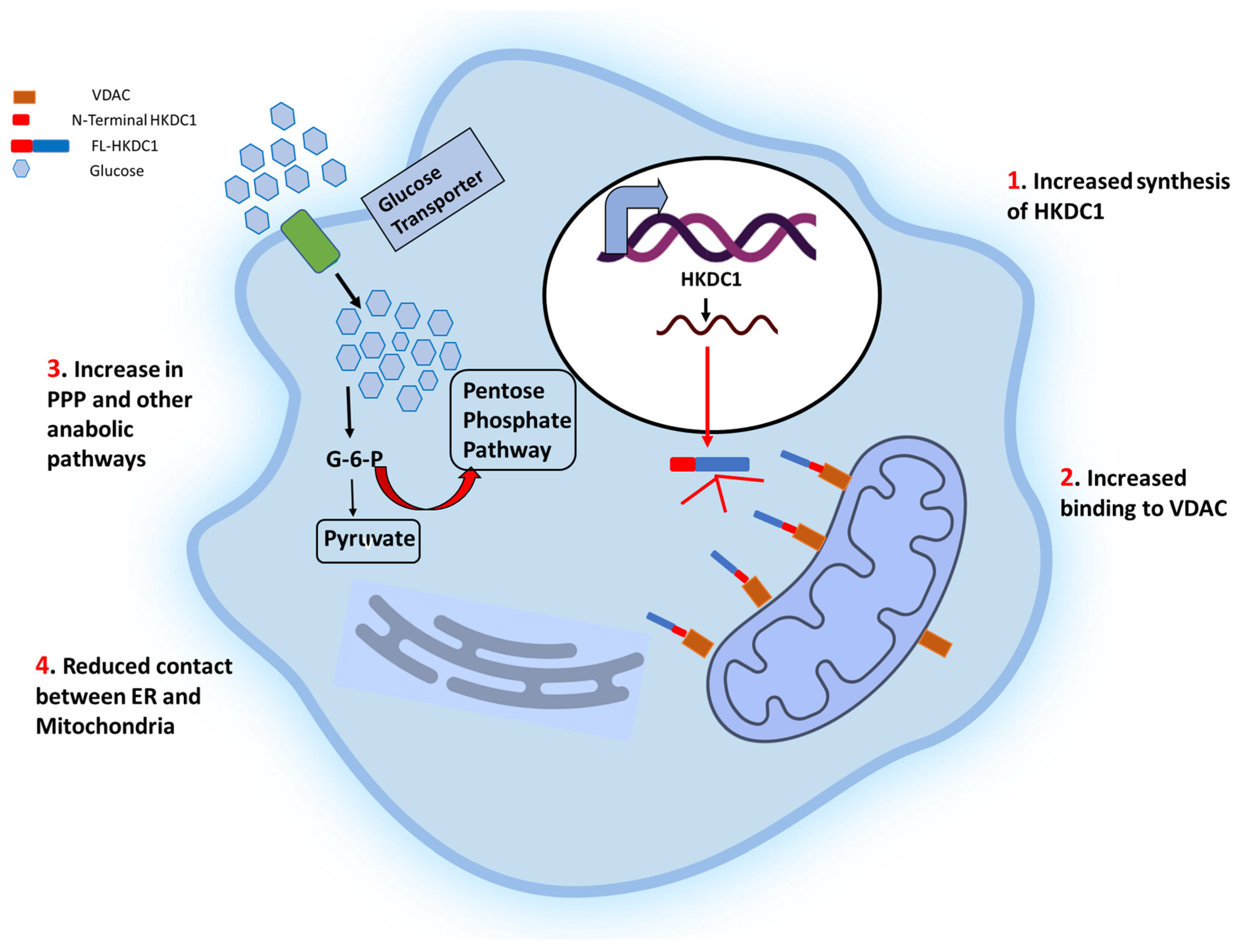 Preprints 70155 g003