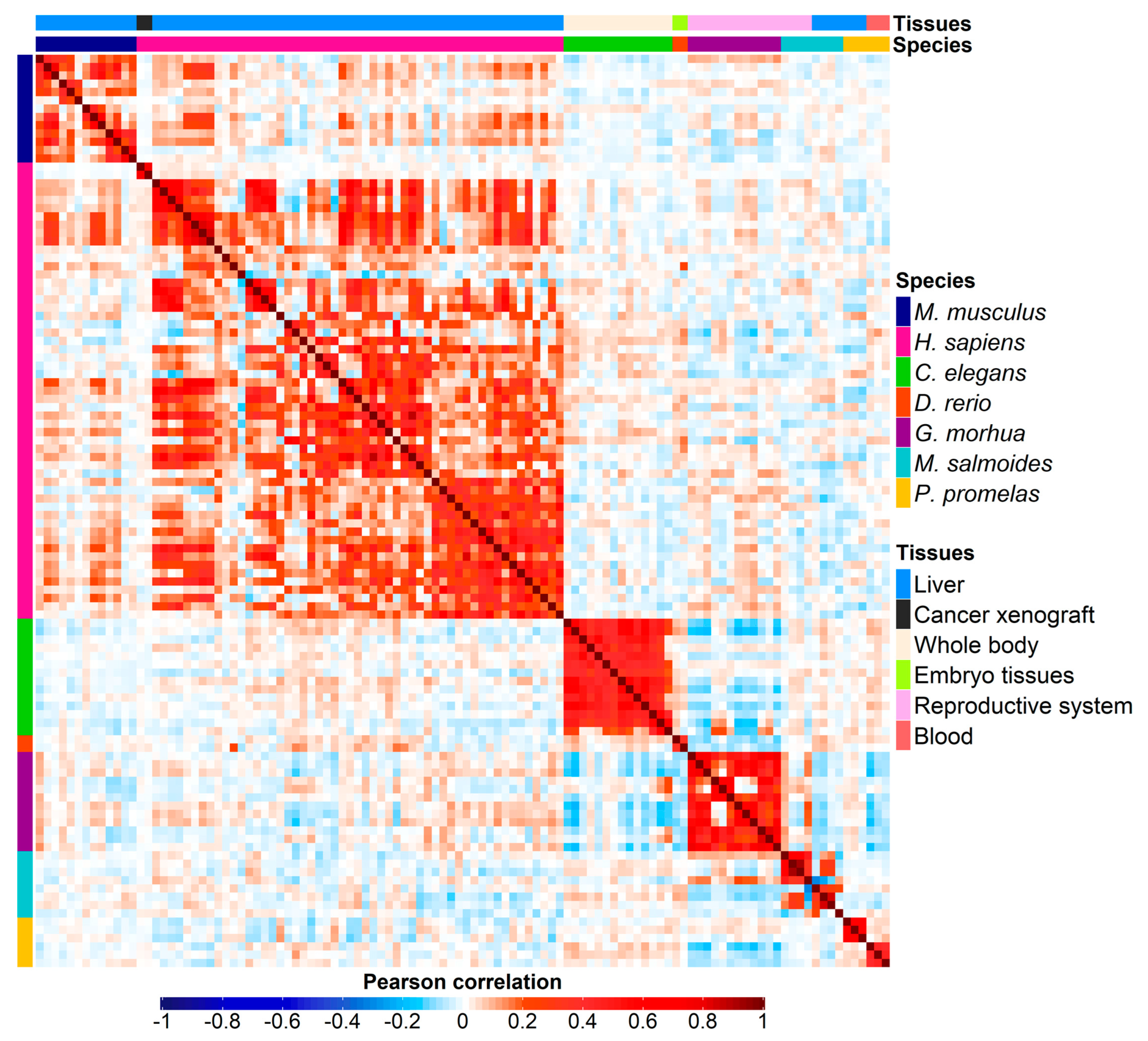 Preprints 77717 g001