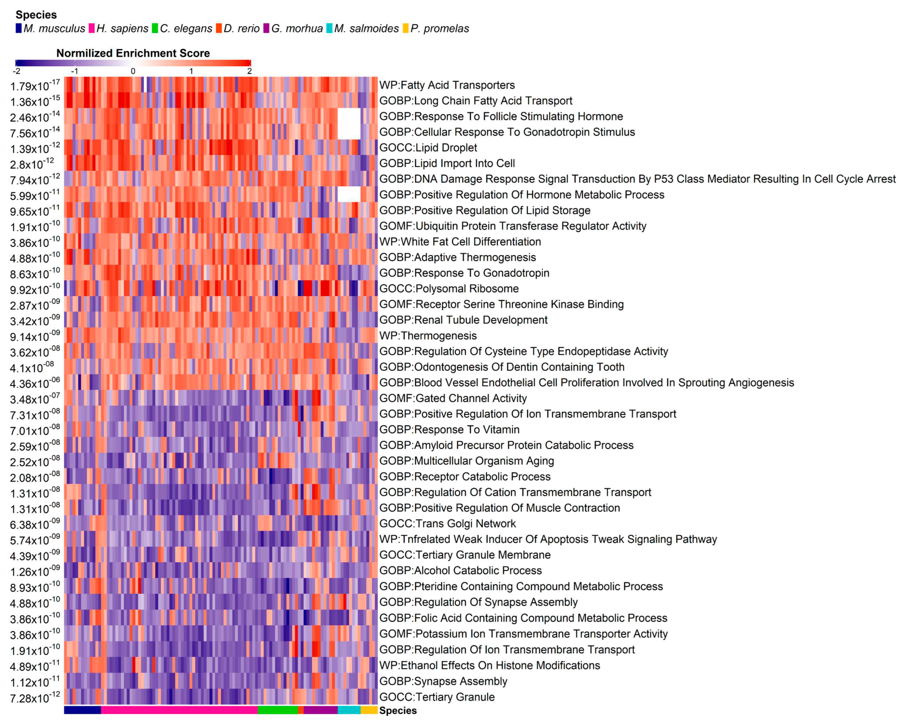 Preprints 77717 g006