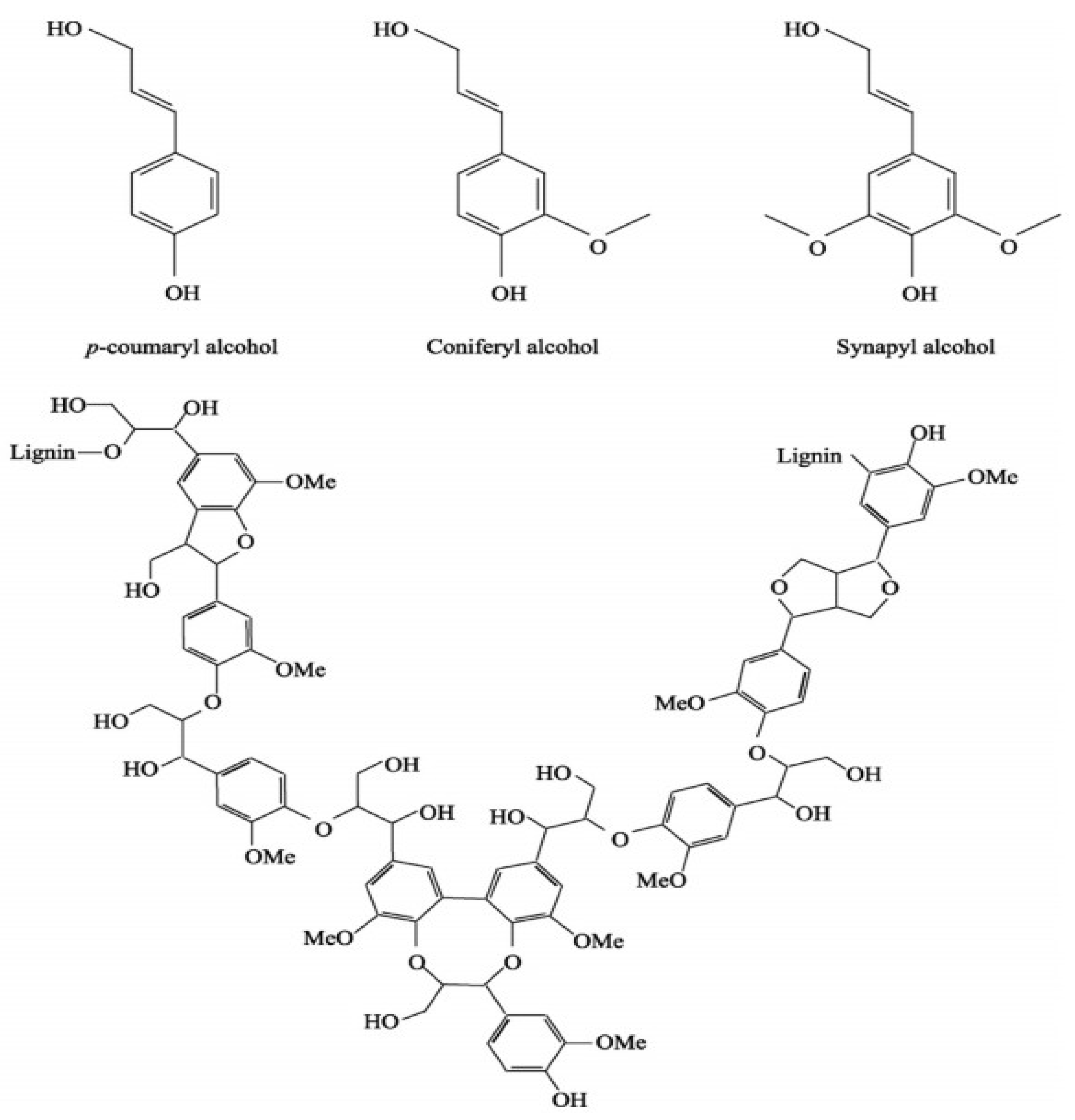 Preprints 74134 g003