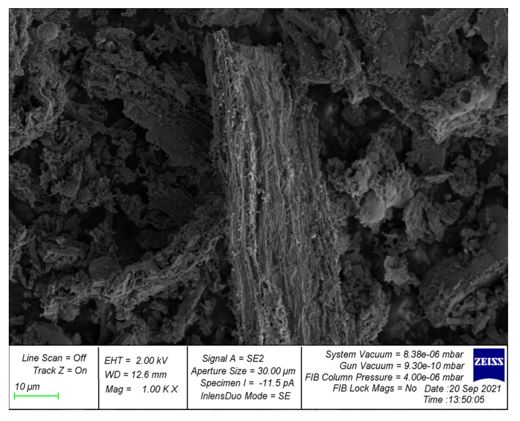 Preprints 74134 g011